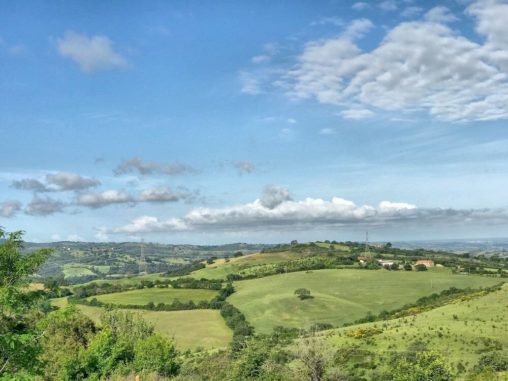 Фото Tenuta Fattoria Vecchia