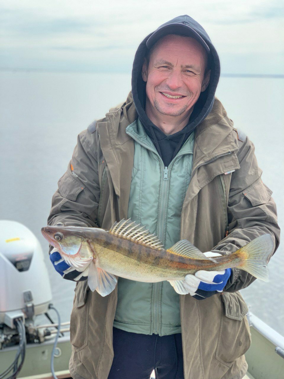 Фото Золотое