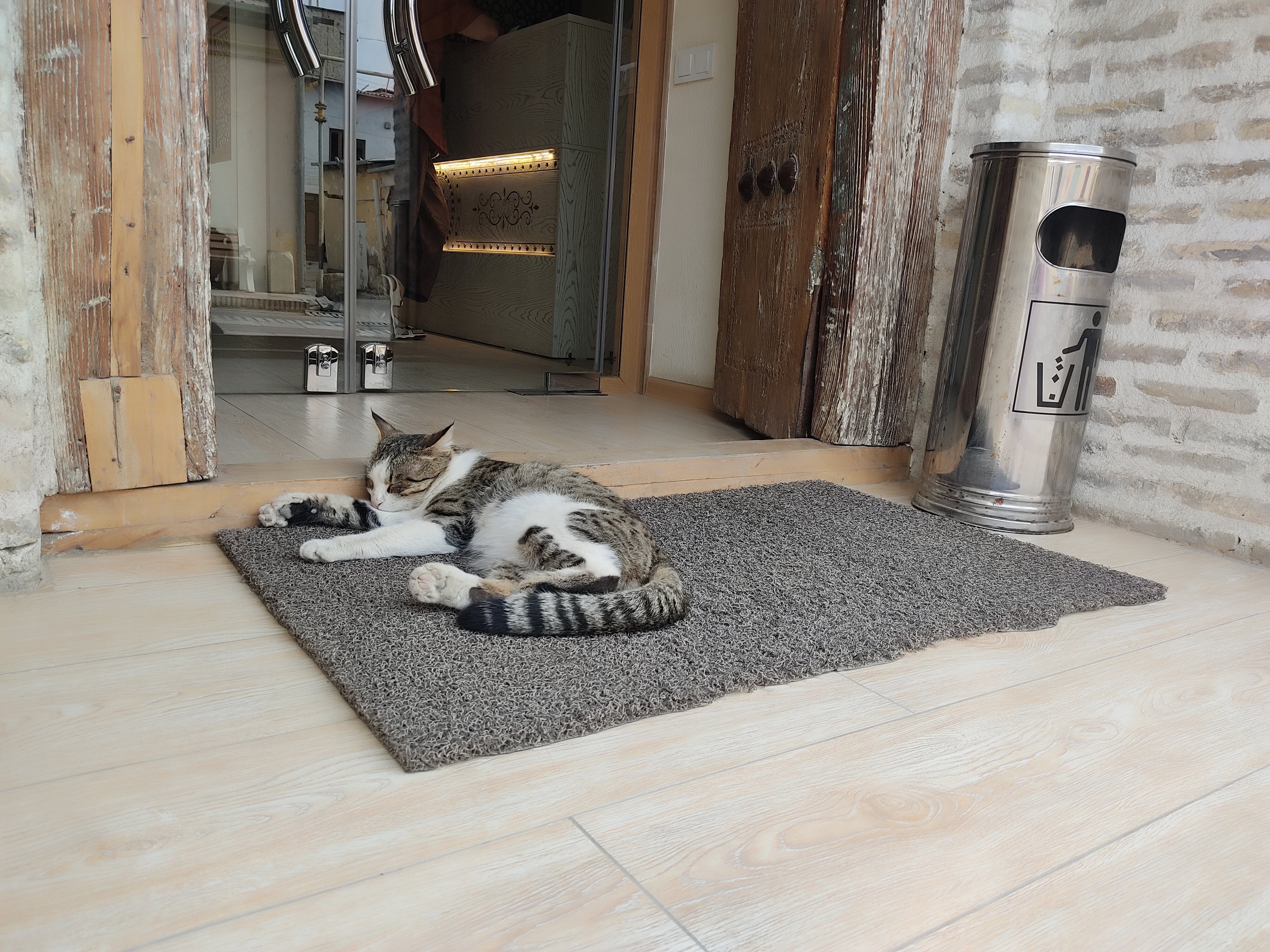 Фото 231275426982