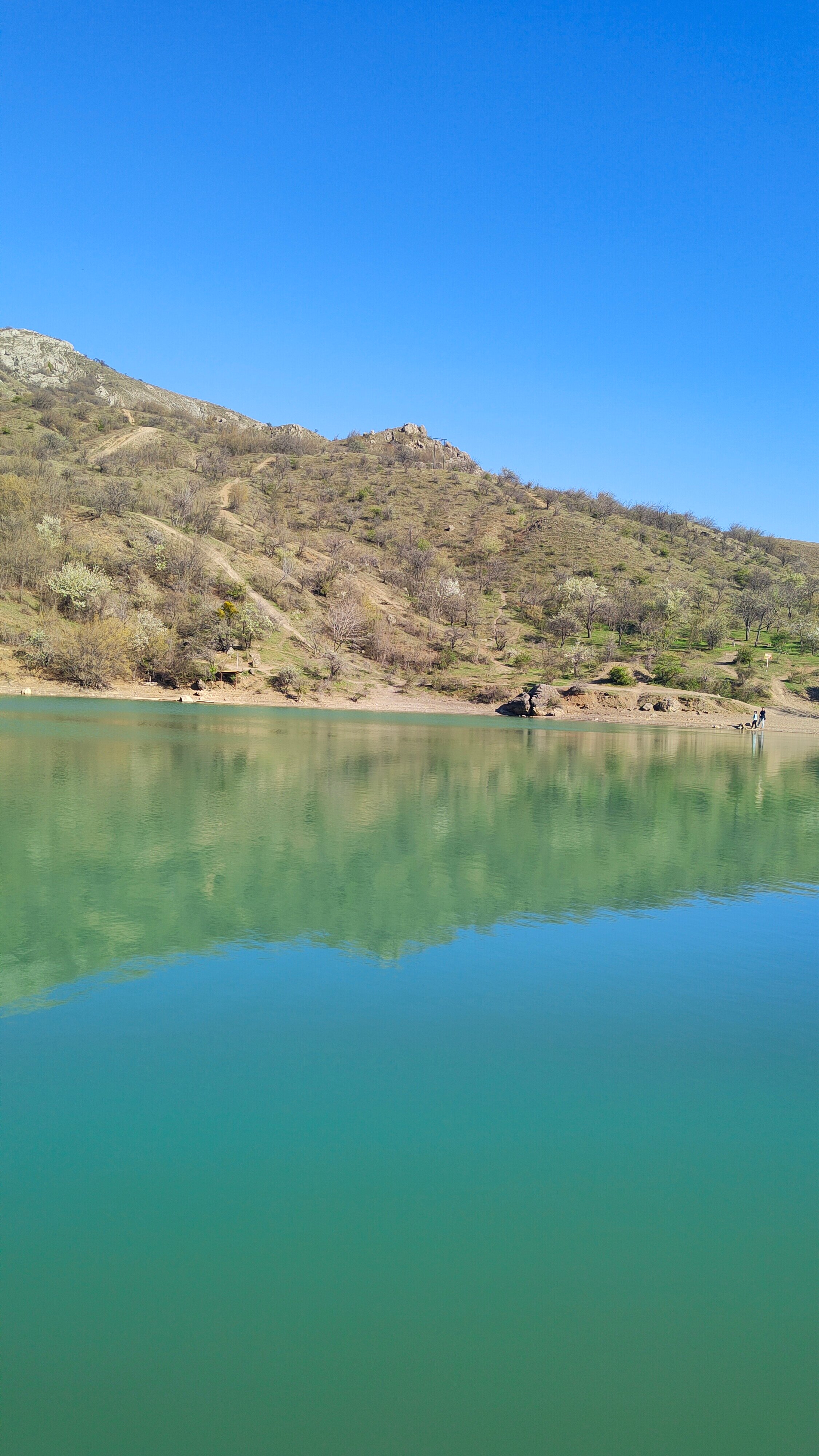 Фото Арпат Зеленогорье