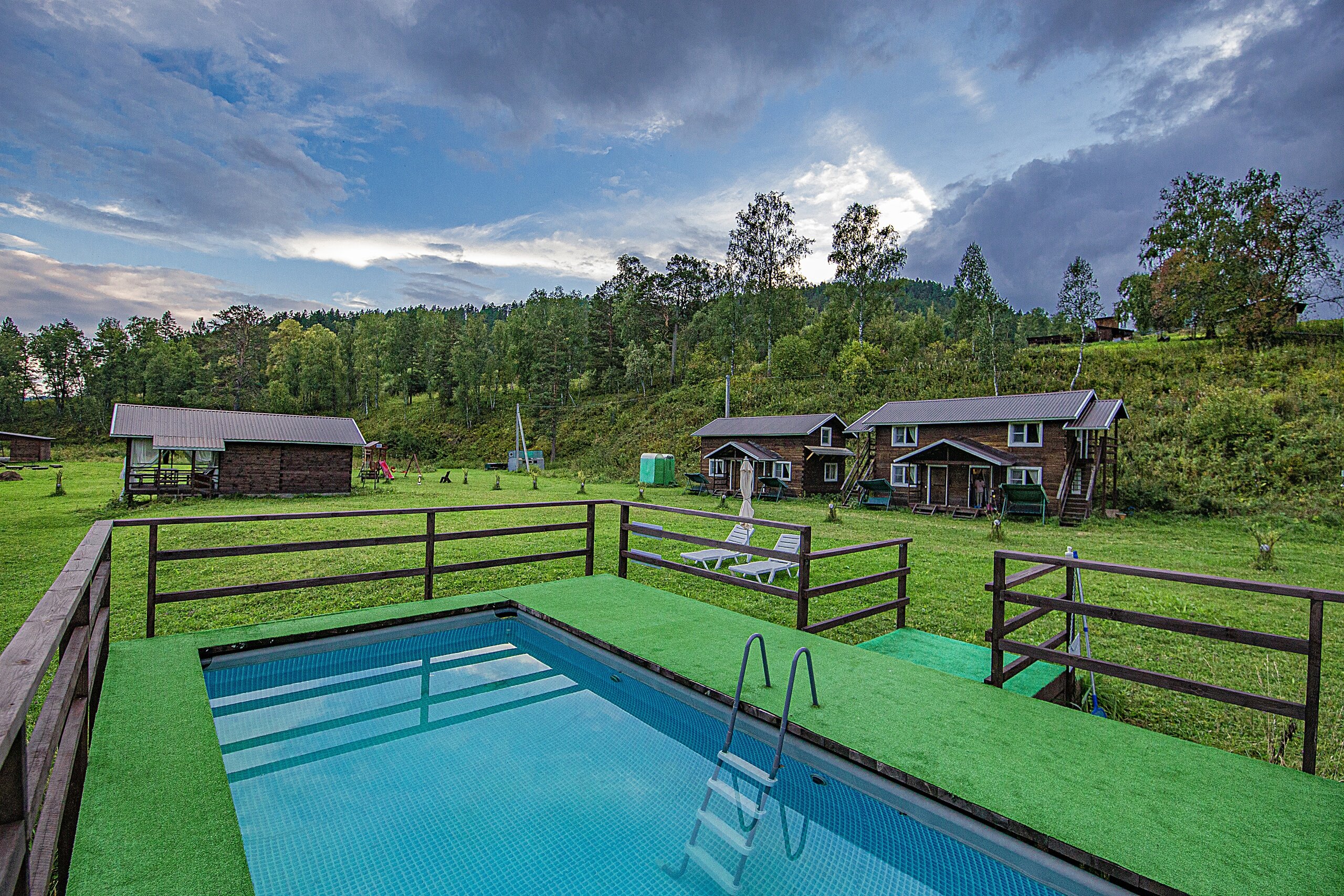 Фото Большие Коты