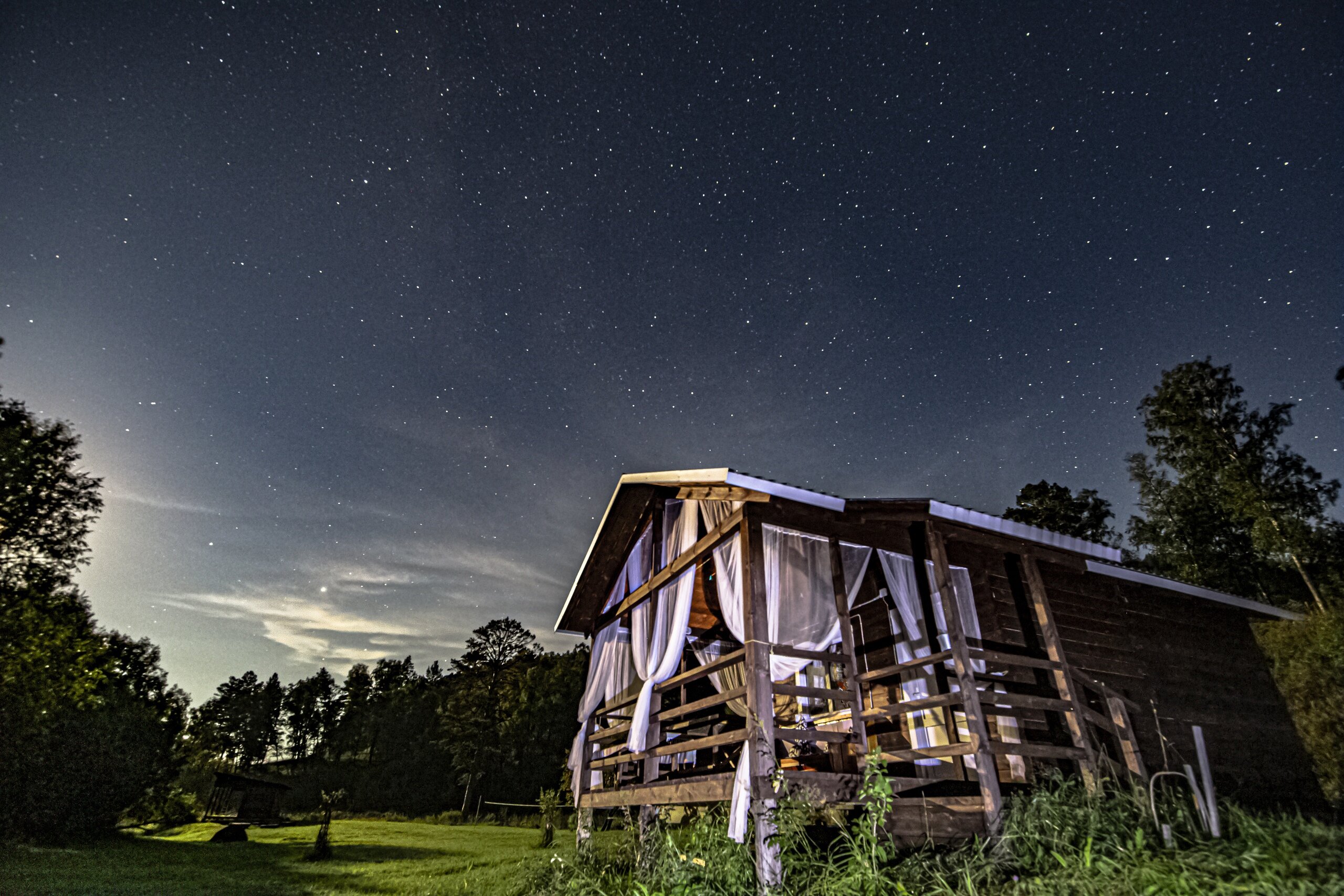 Фото Большие Коты
