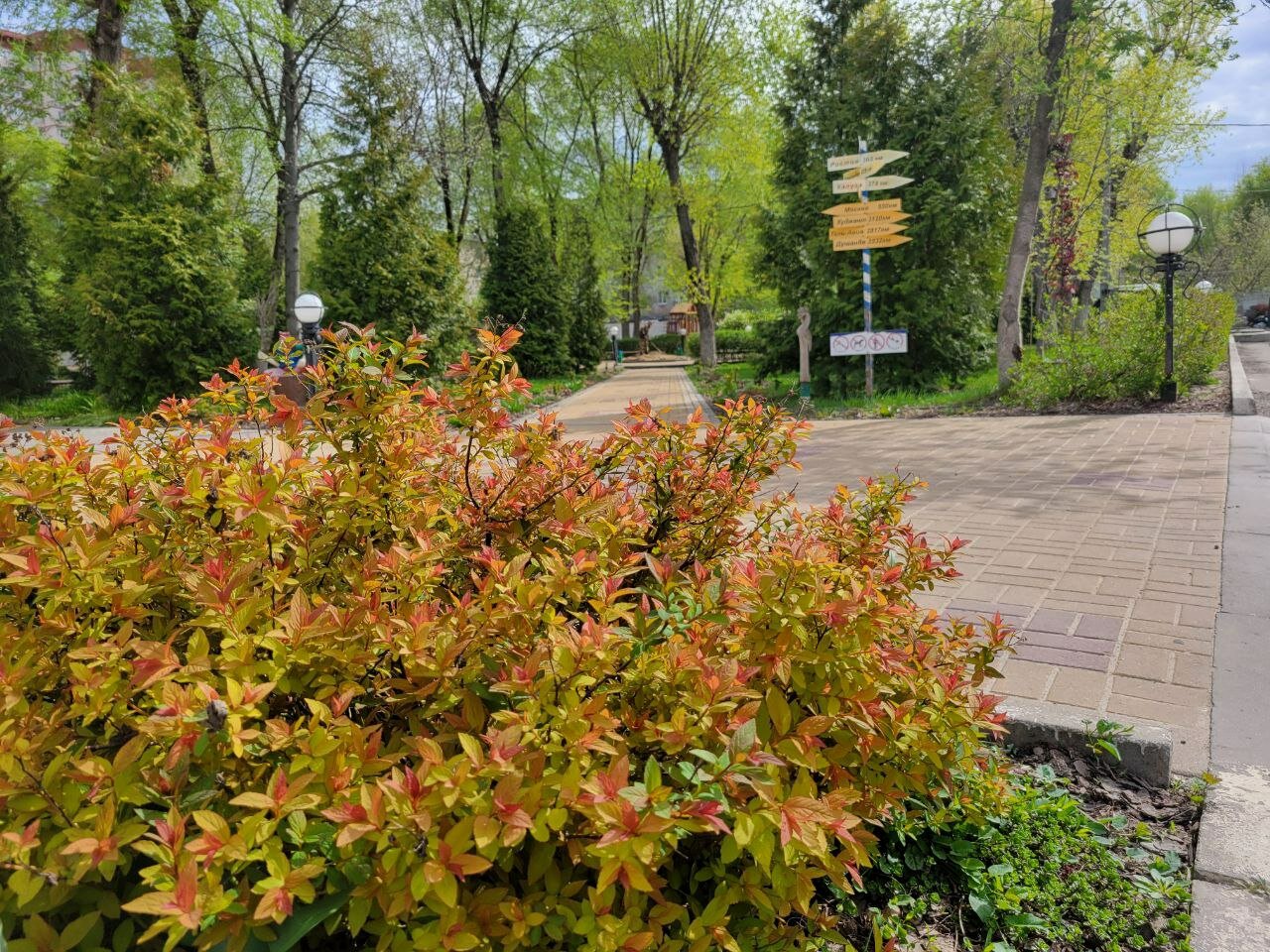 Фото Согдиана