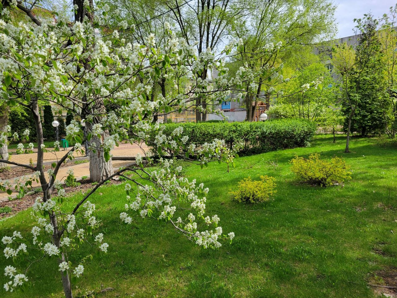 Фото Согдиана