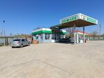 Qazaq Oil (Shymkent, proizvodstvenny kooperativ Bozaryk), gas station