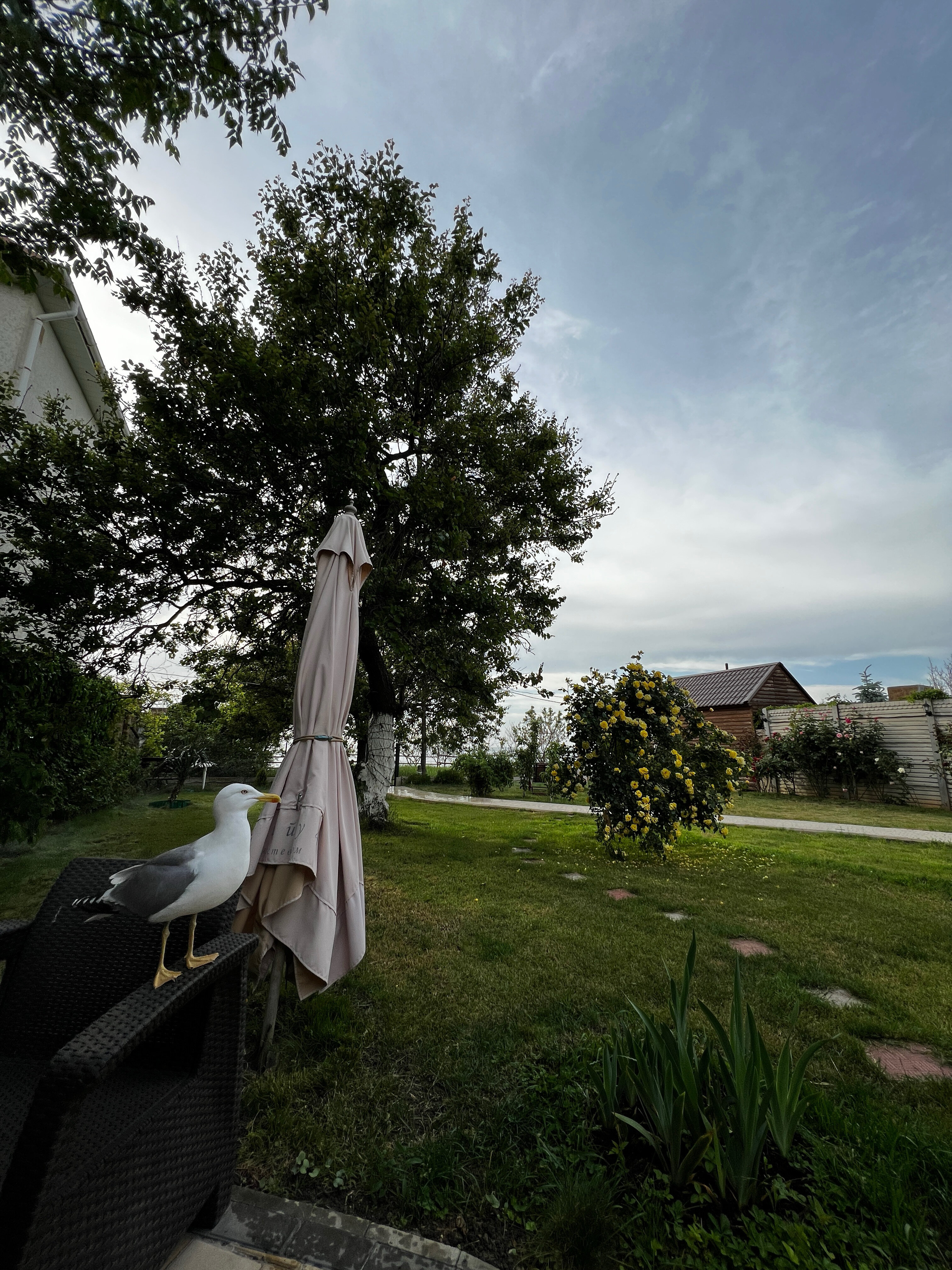 Фото Райский уголок