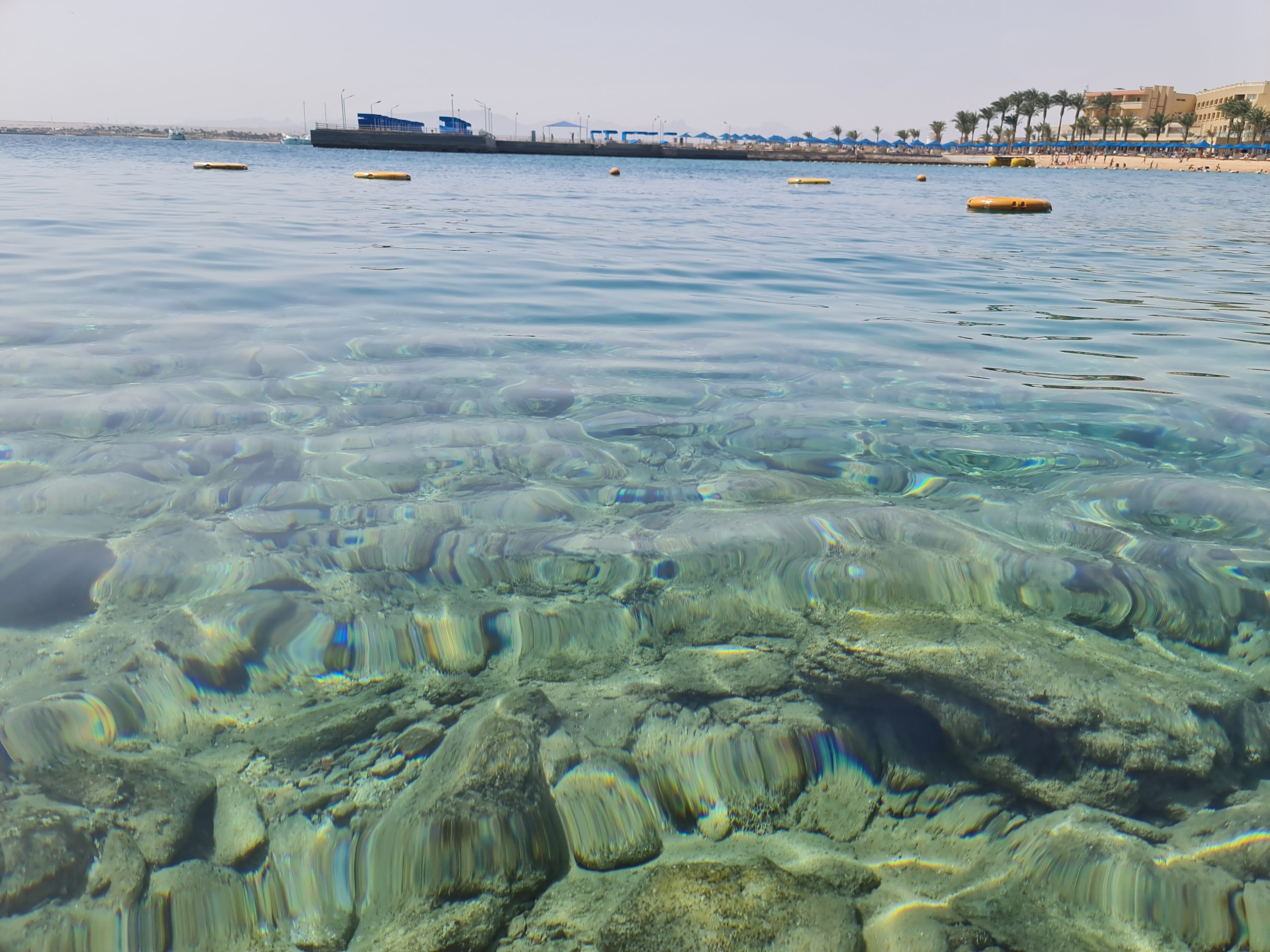 Фото Бич Альбатрос Резорт