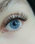 Dari Lashes (Veteranov Avenue, 175), eyebrow and eyelash salon