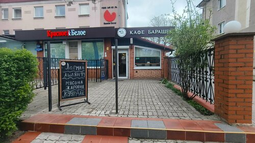 Бар барашек: найдено 89 картинок