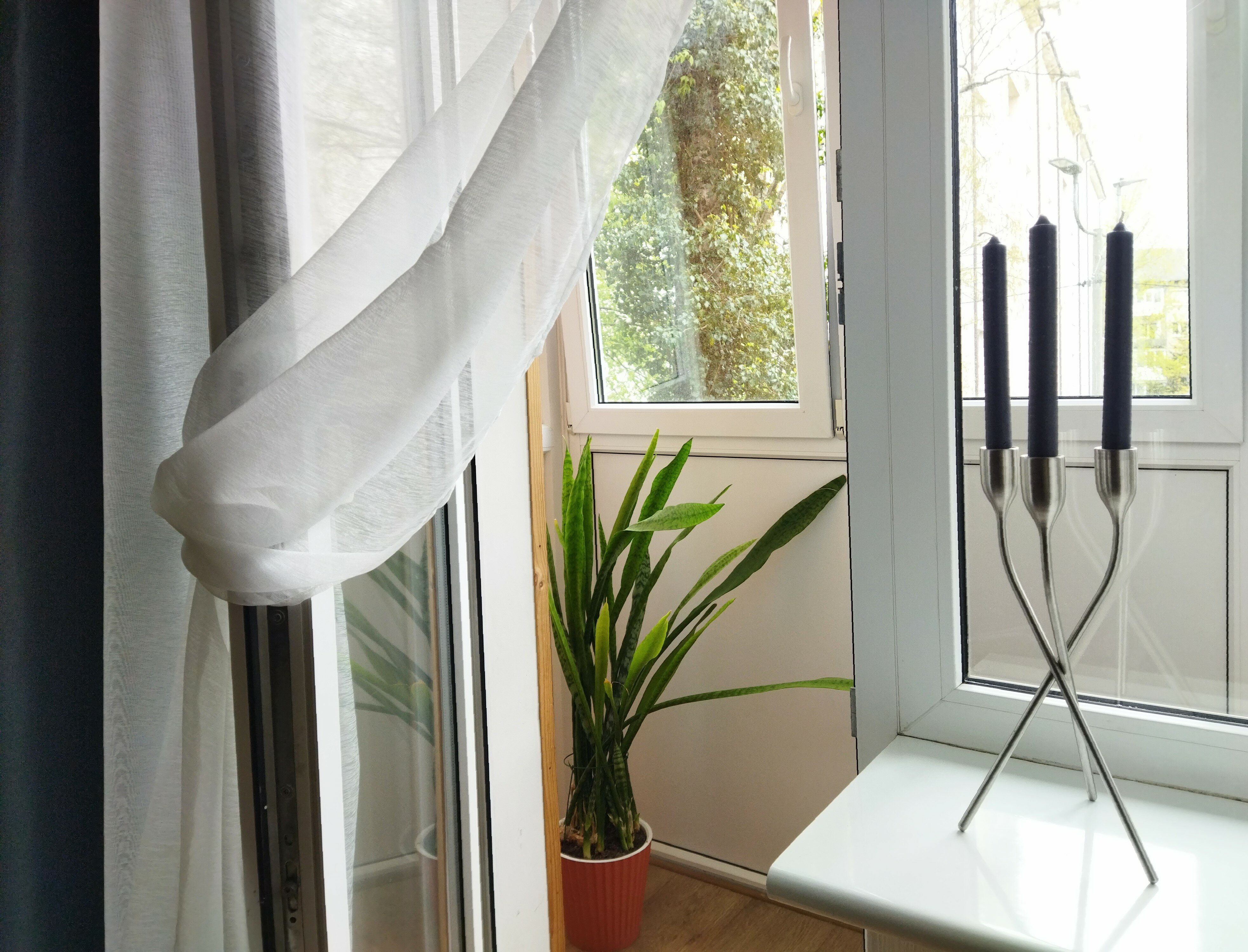 Фото Стоп. Снято!