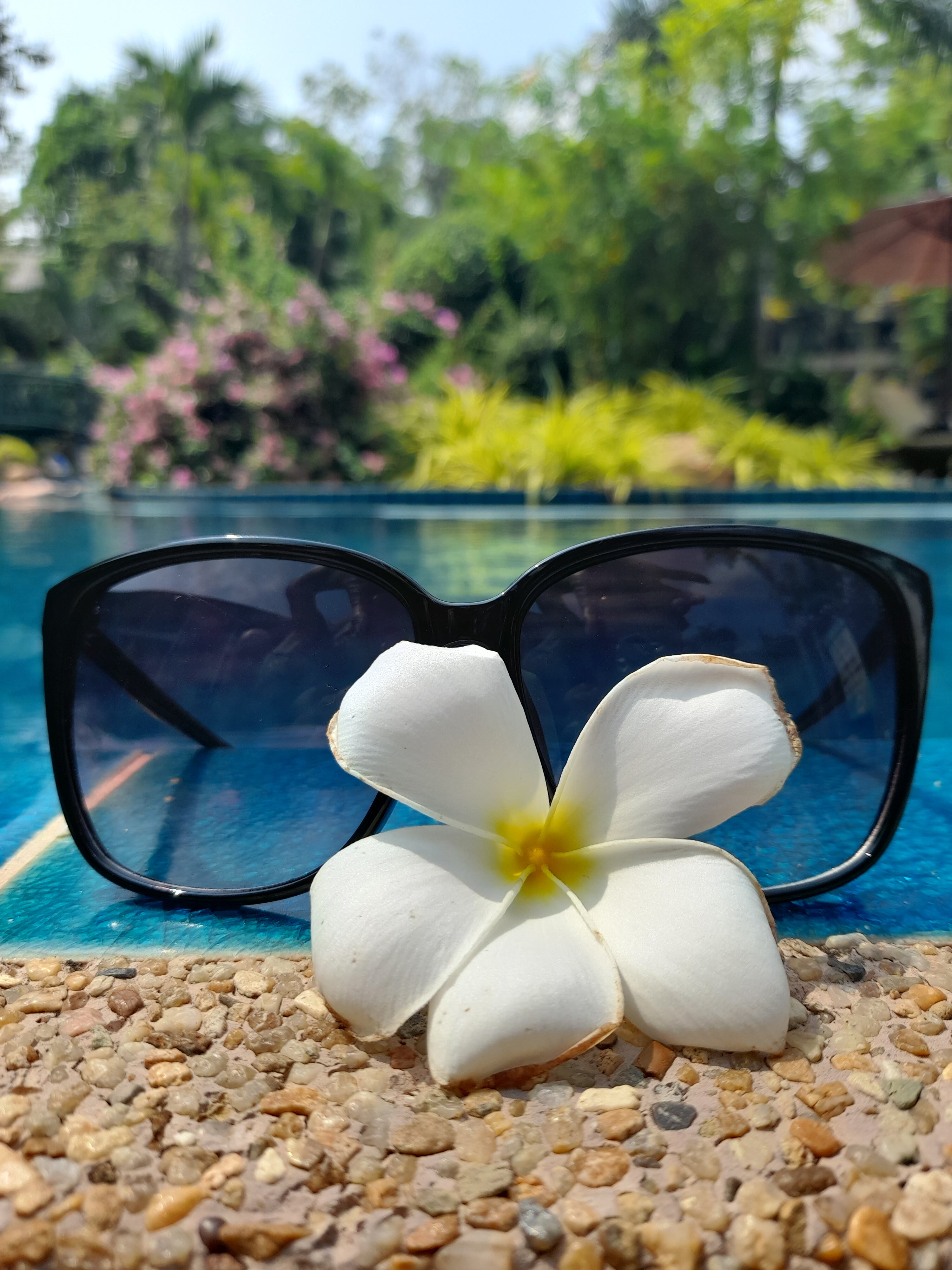 Фото The Green Park Resort