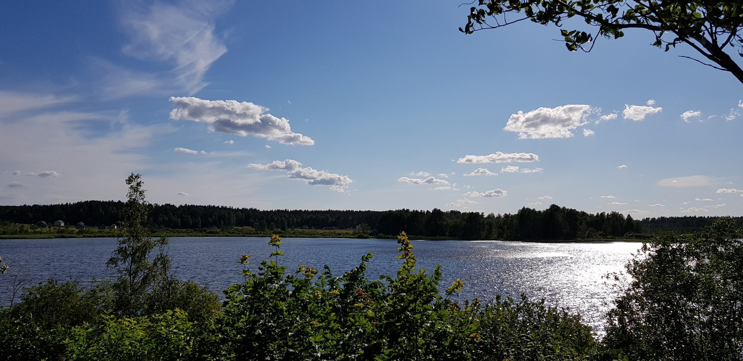 Фото Ласточкино гнездо