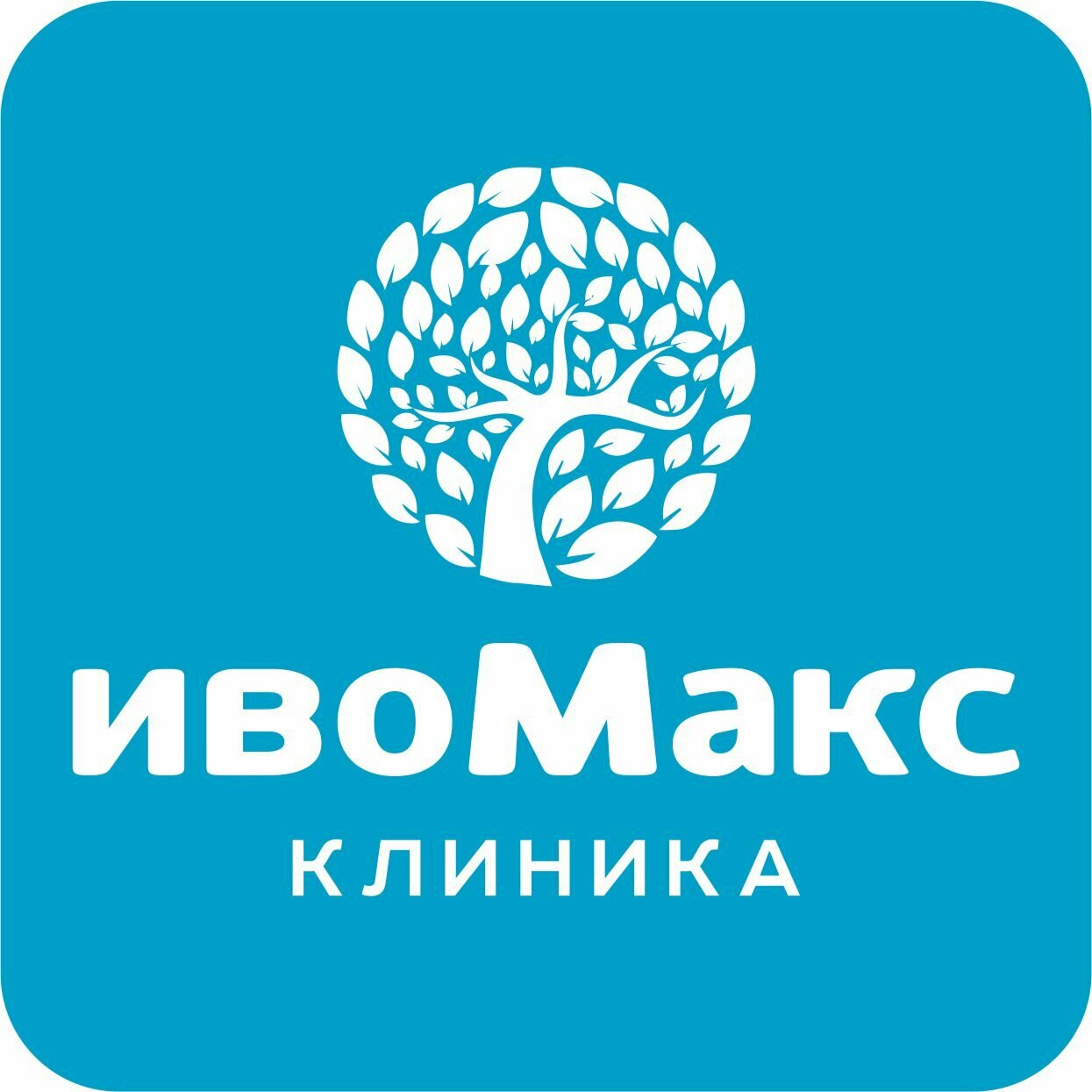 ИвоМакс
