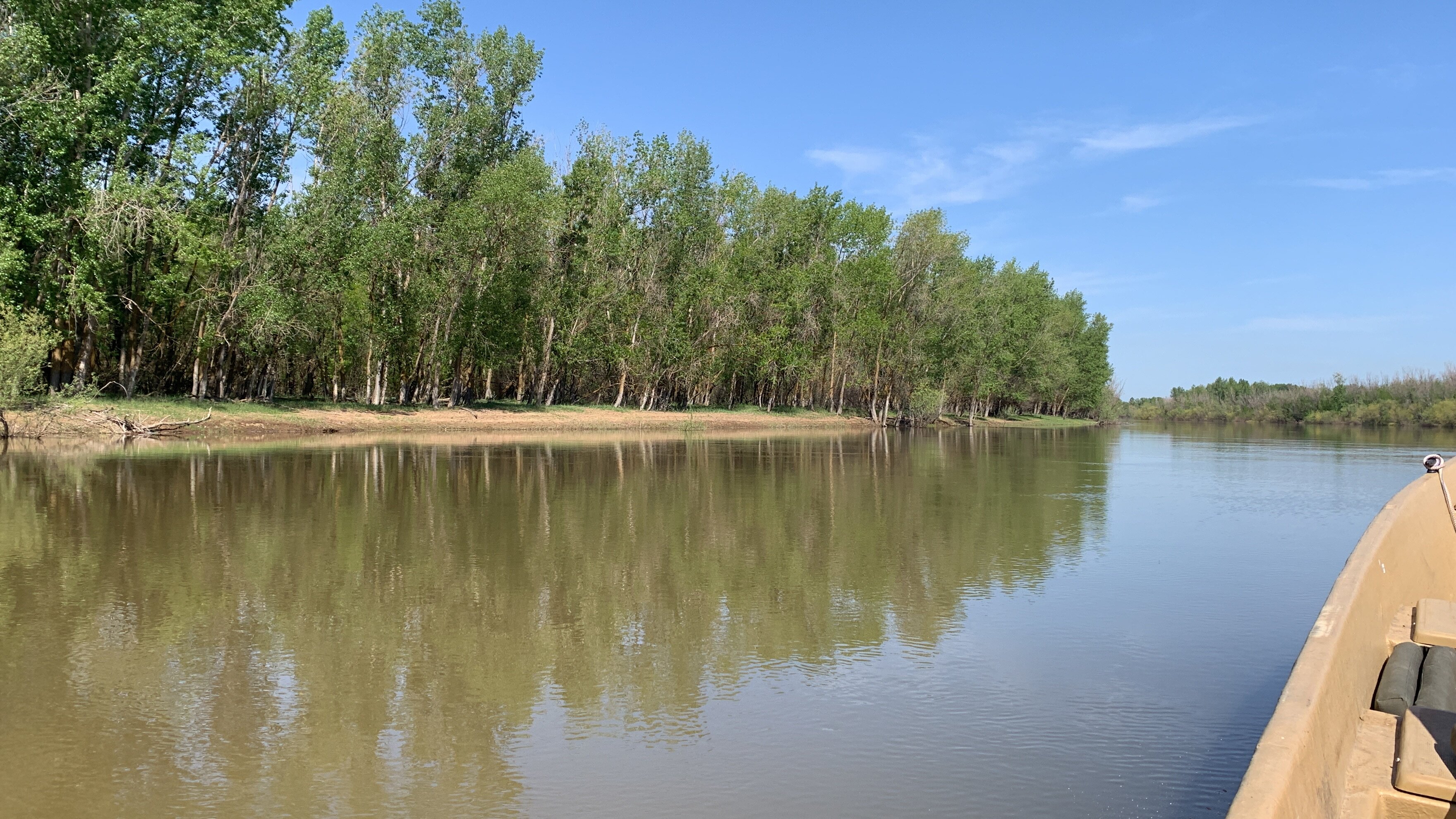 Фото Росинка