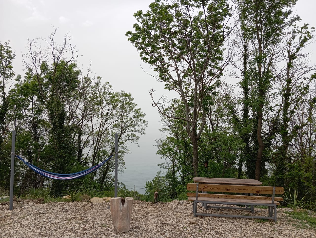 Фото Лайнер