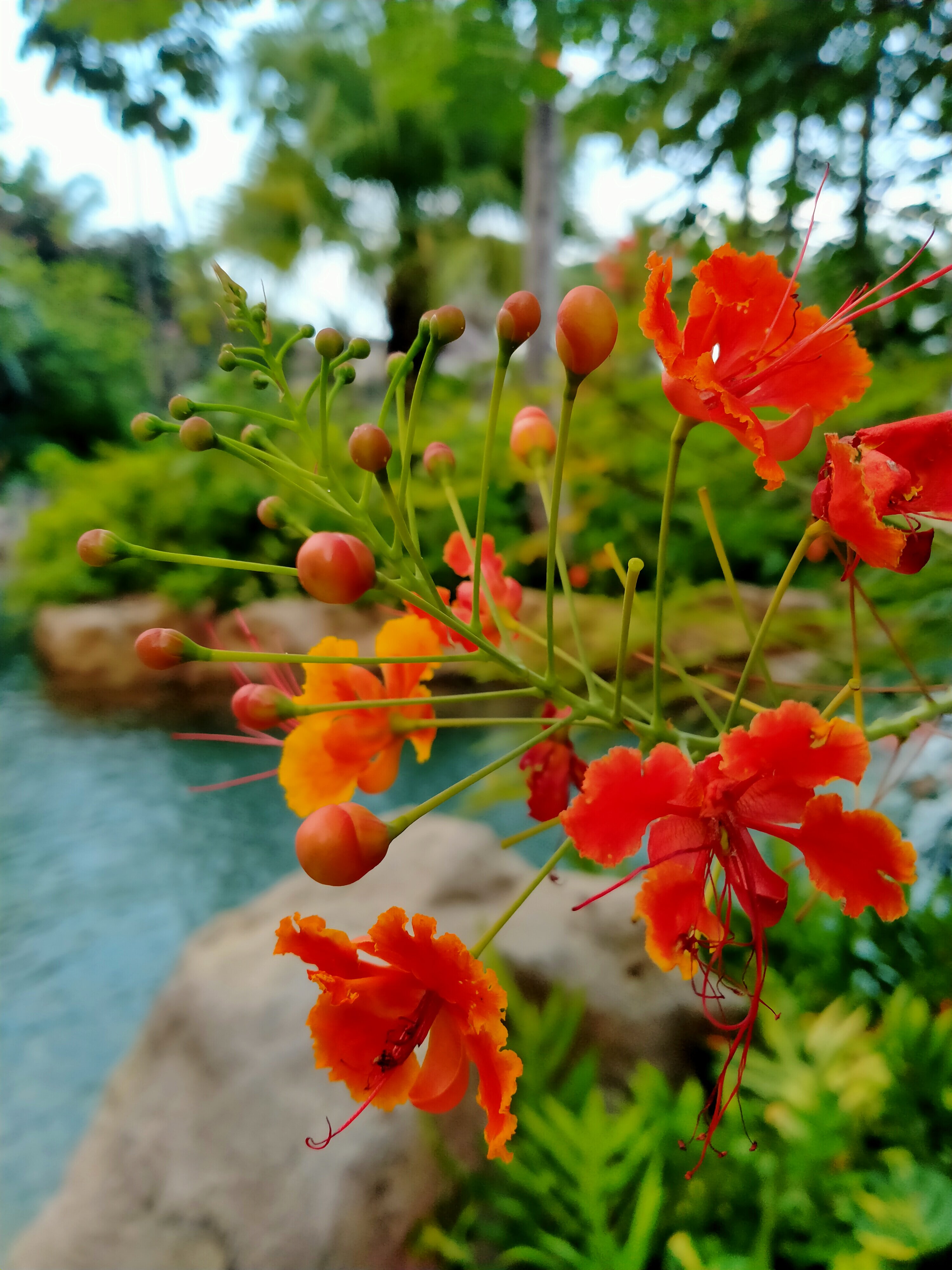 Фото Centara Grand Mirage Beach Resort Pattaya