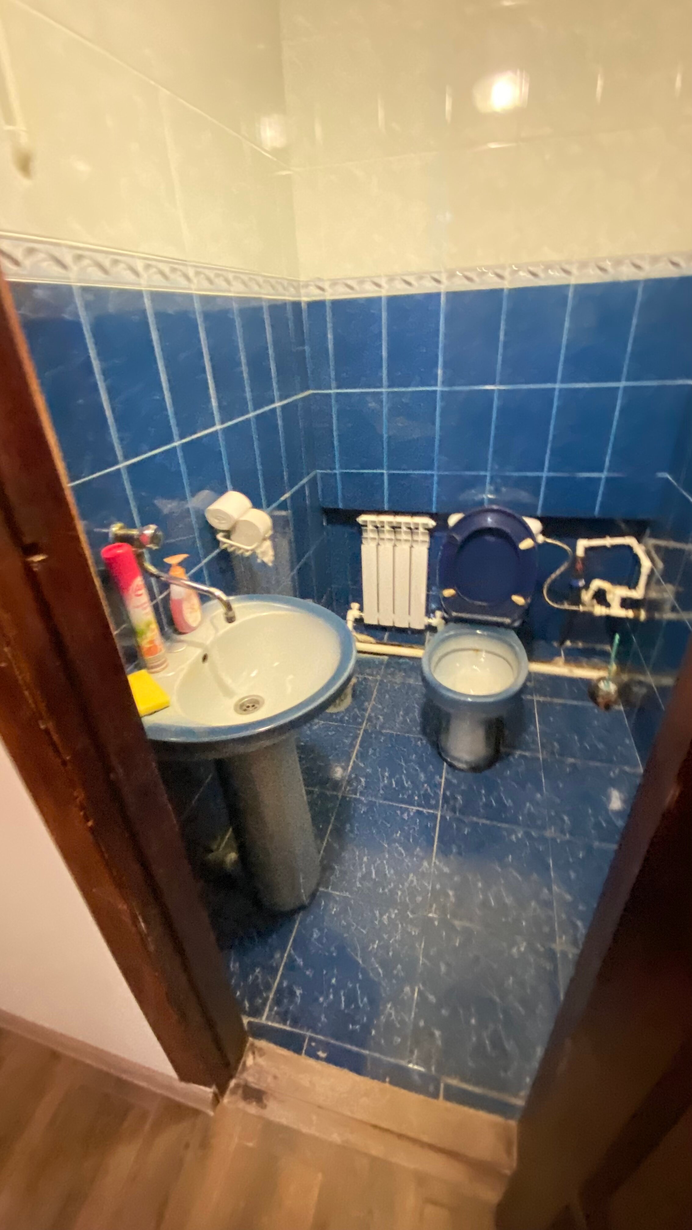 Фото Спарта