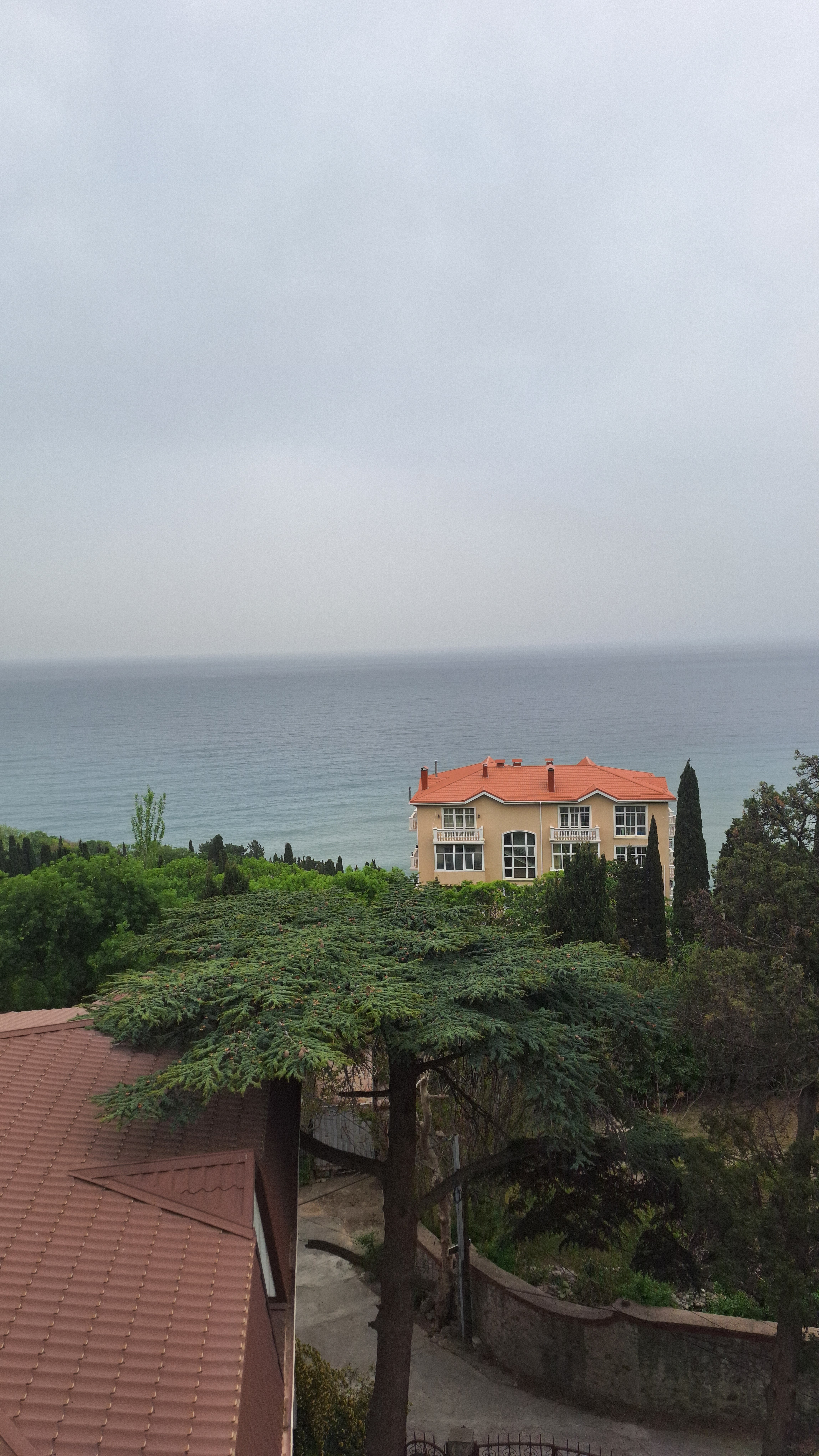 Фото Кедр-Запад