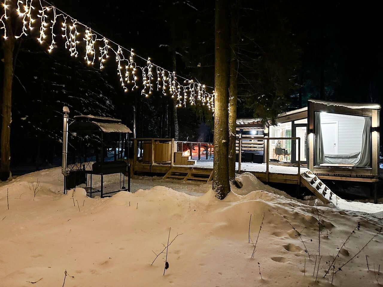 Фото Лесная тропа