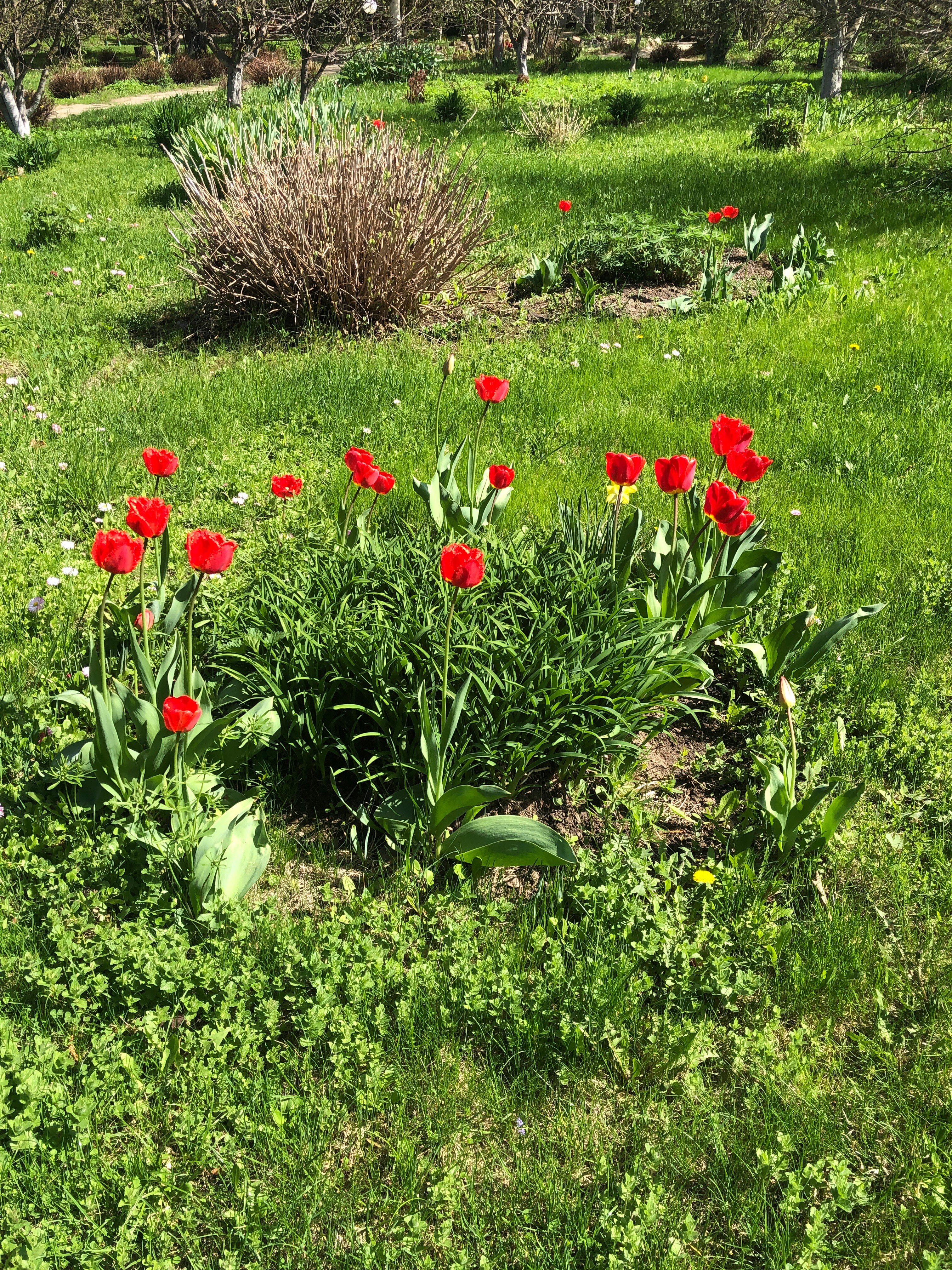 Фото Ярославна