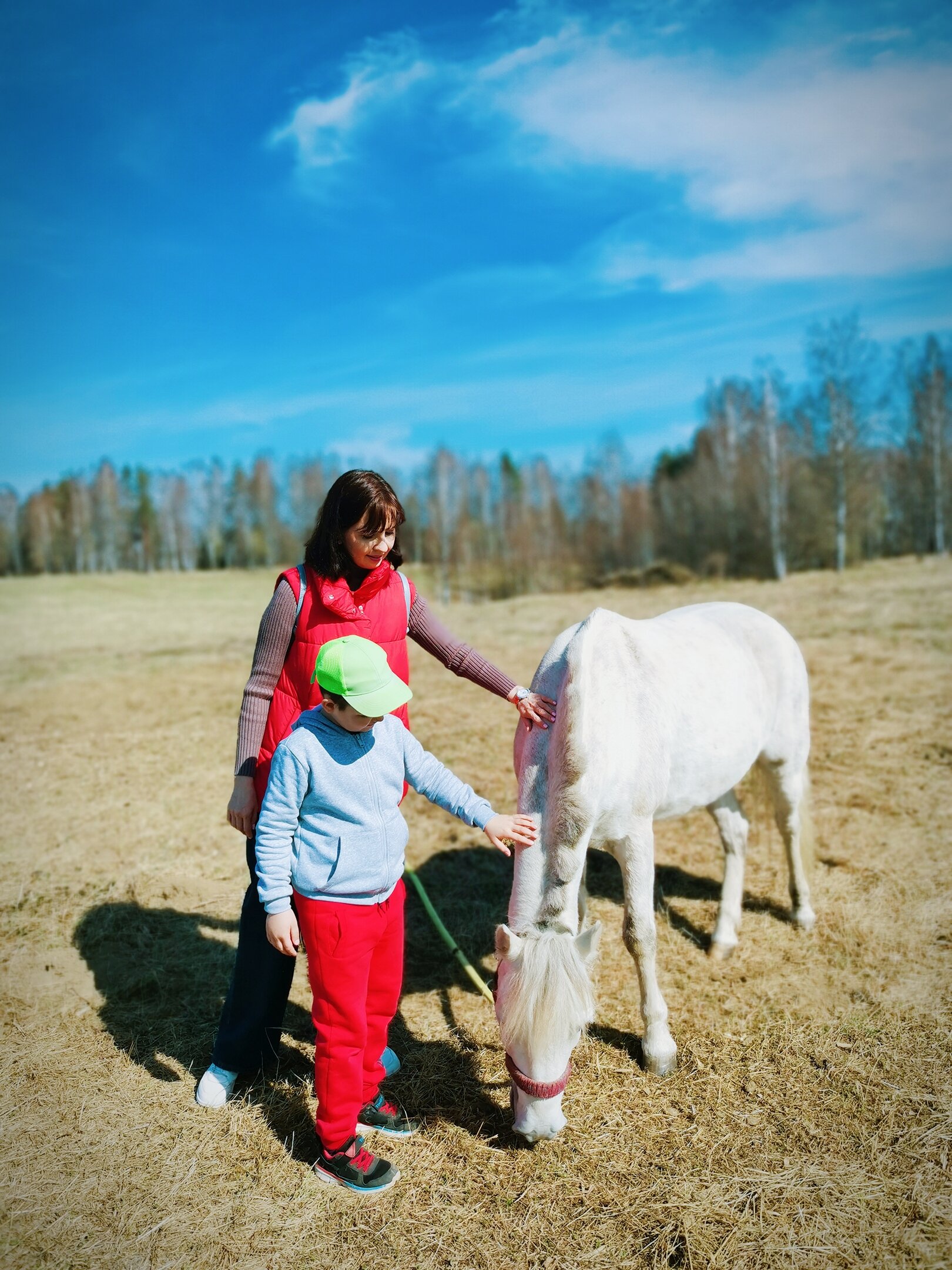 Фото Лосиный ключ