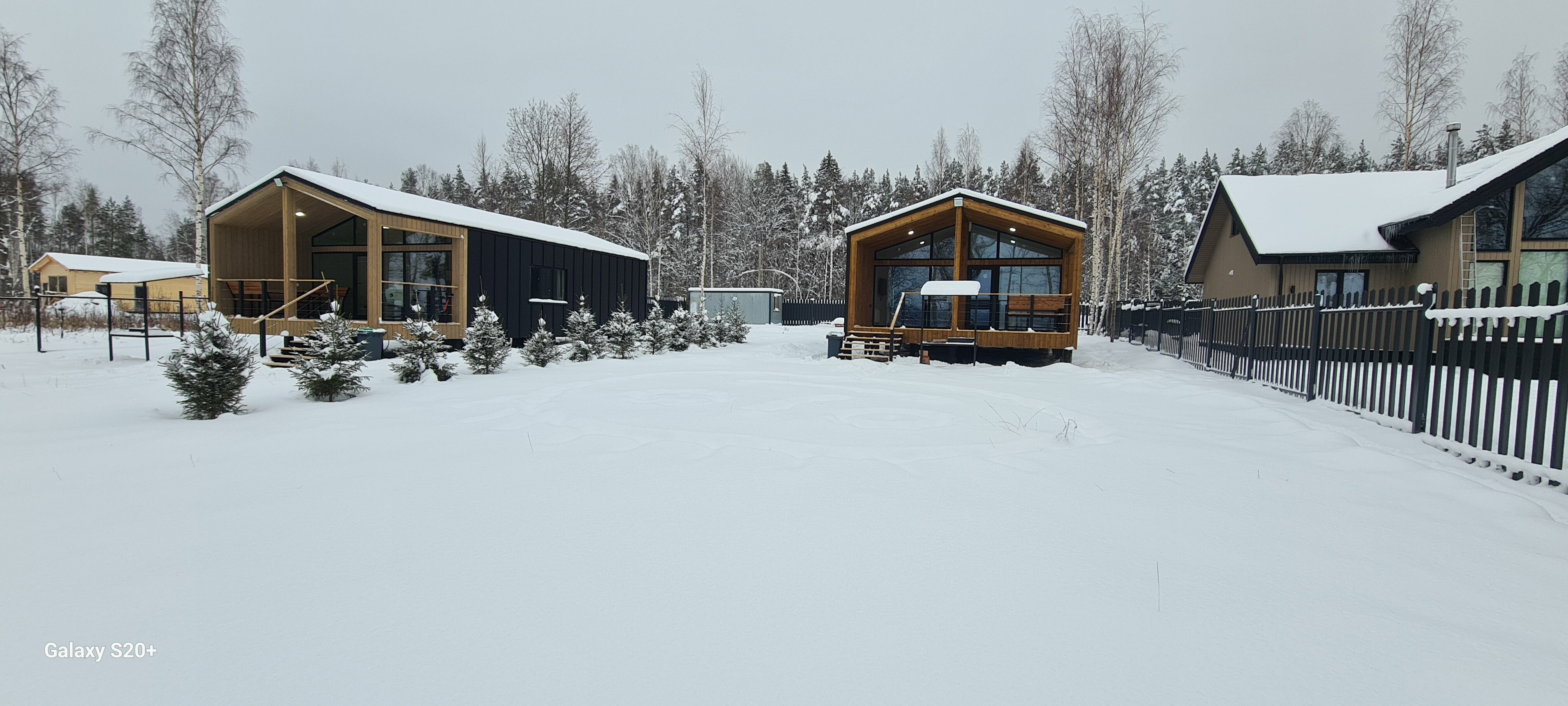 Фото Мамонт на озере