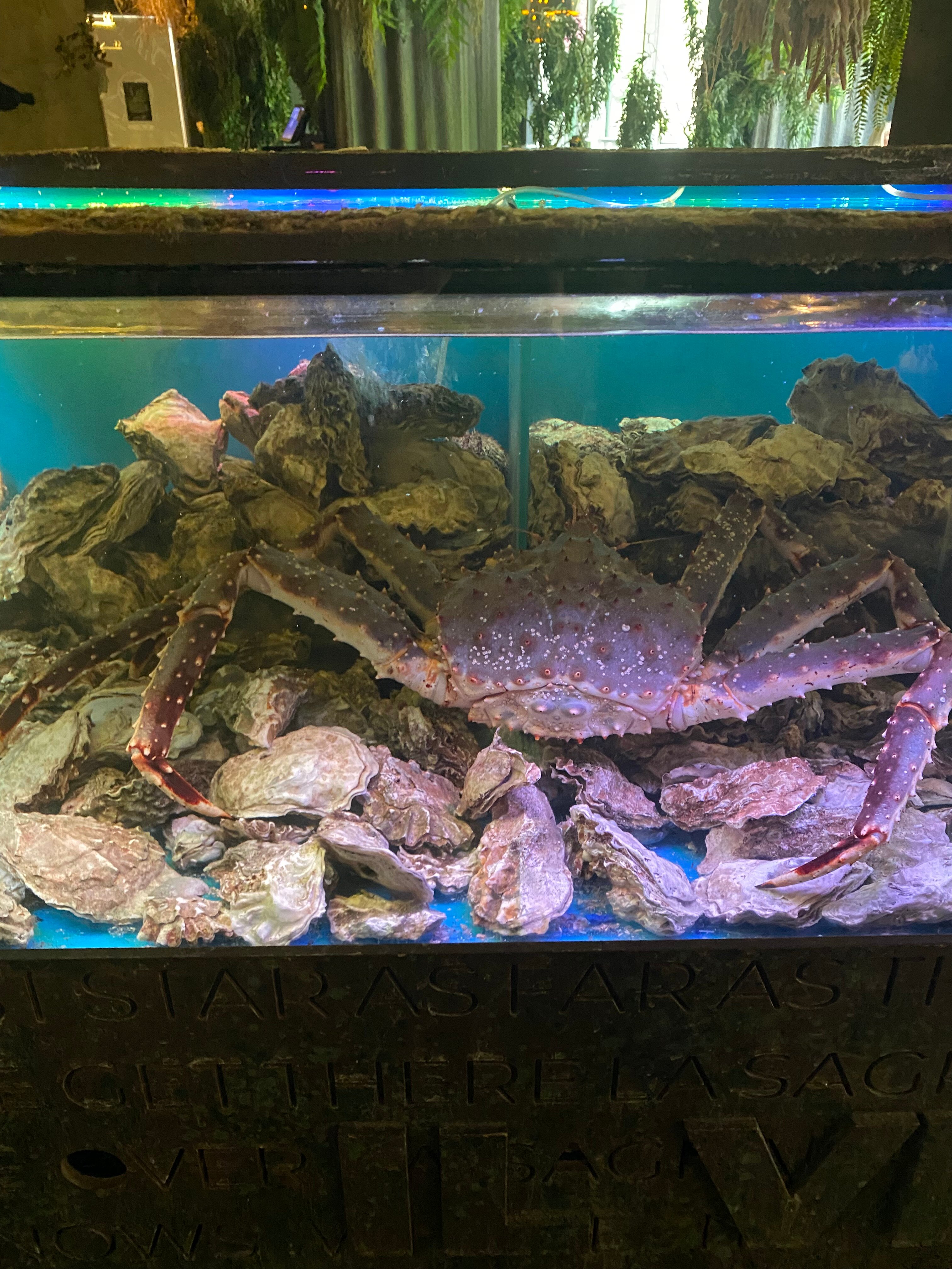 Фото Астория