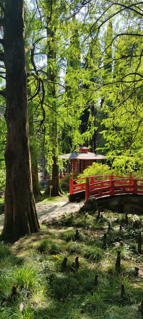 Landmark, attraction Japanese Garden, Sochi, photo