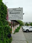 Staraya Pivovarnya (Kunikova Street, 45А), bar, pub