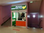 Lisichka (Zheleznodorozhny Microdistrict, Sovetskaya ulitsa, 9), dry cleaning