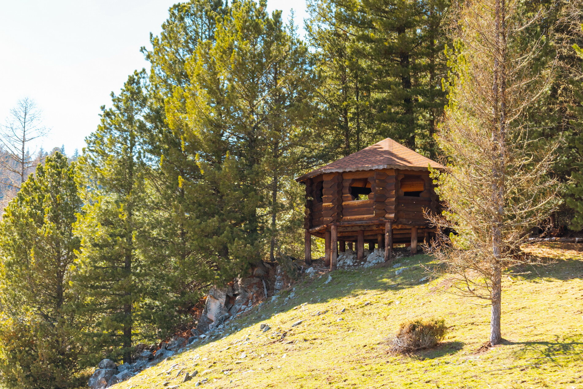 Фото Медвежья гора