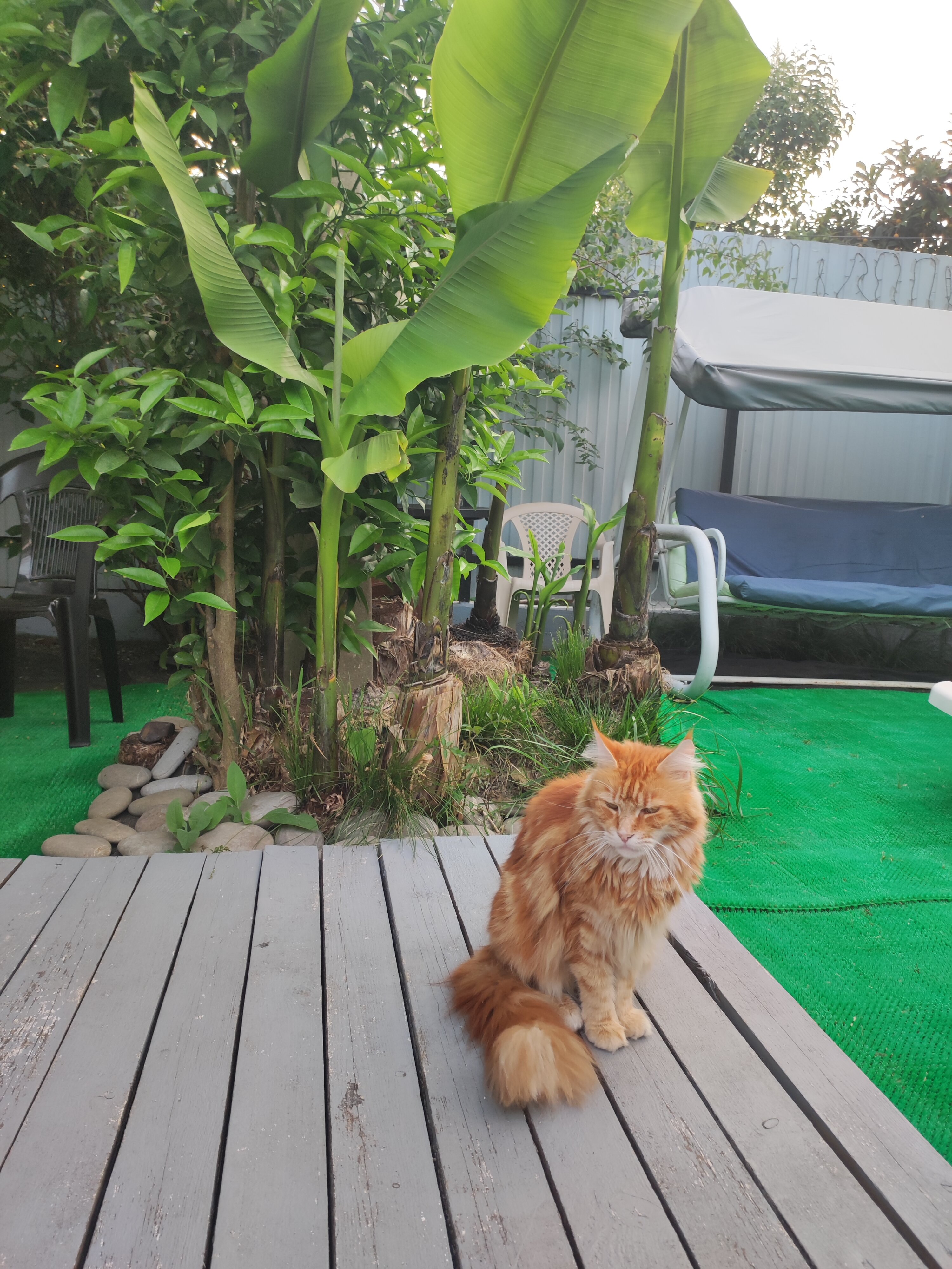 Фото Уютный дворик