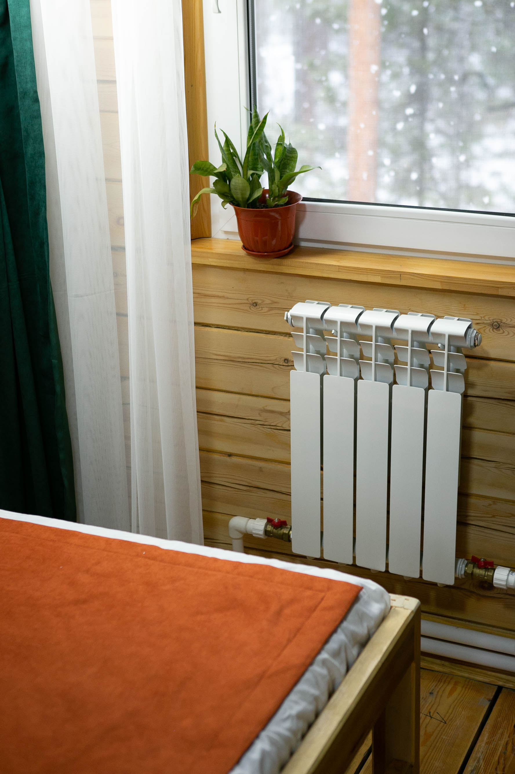 Фото Виктория