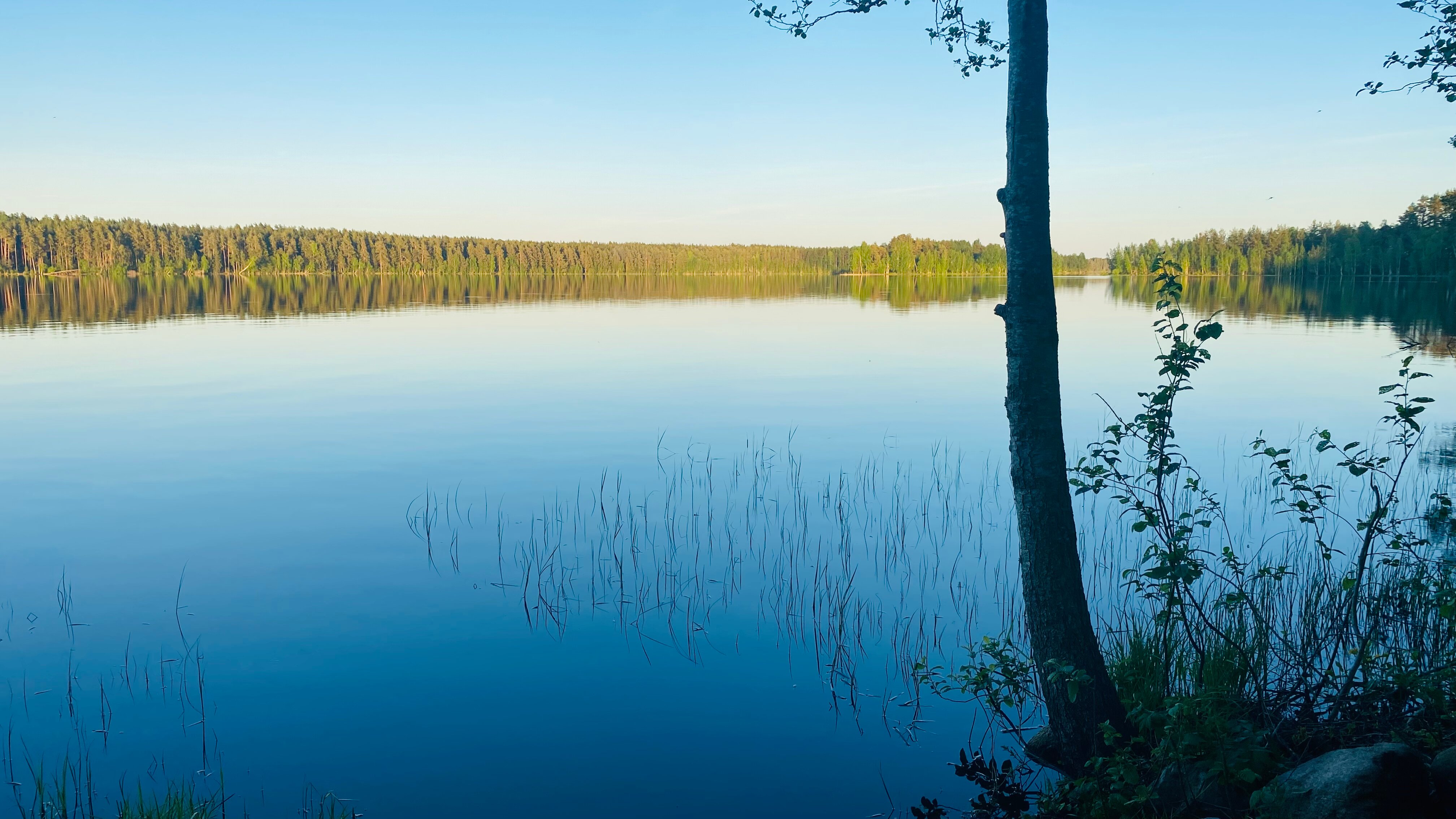Фото Ладога Хоум - на берегу озера