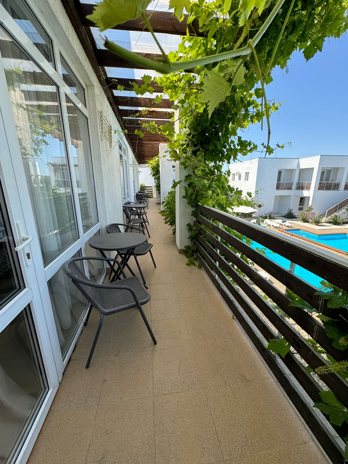 Фото Гранд Камелия