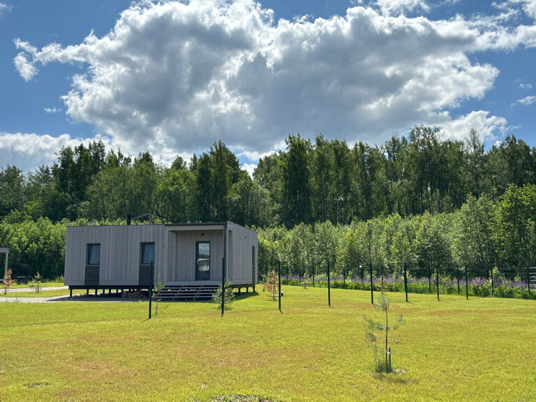 Фото Маро Лампи