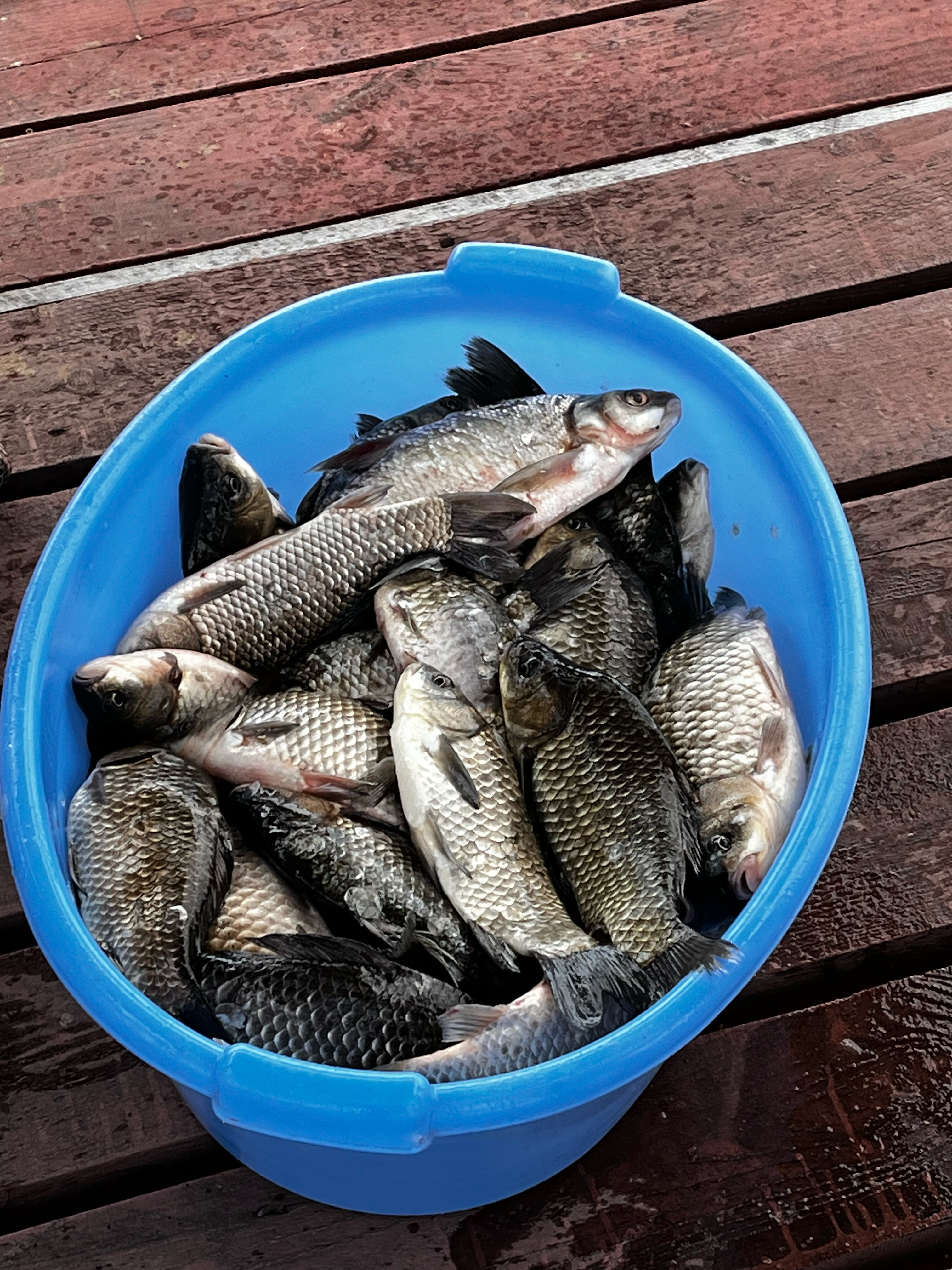 Фото Тихий Причал