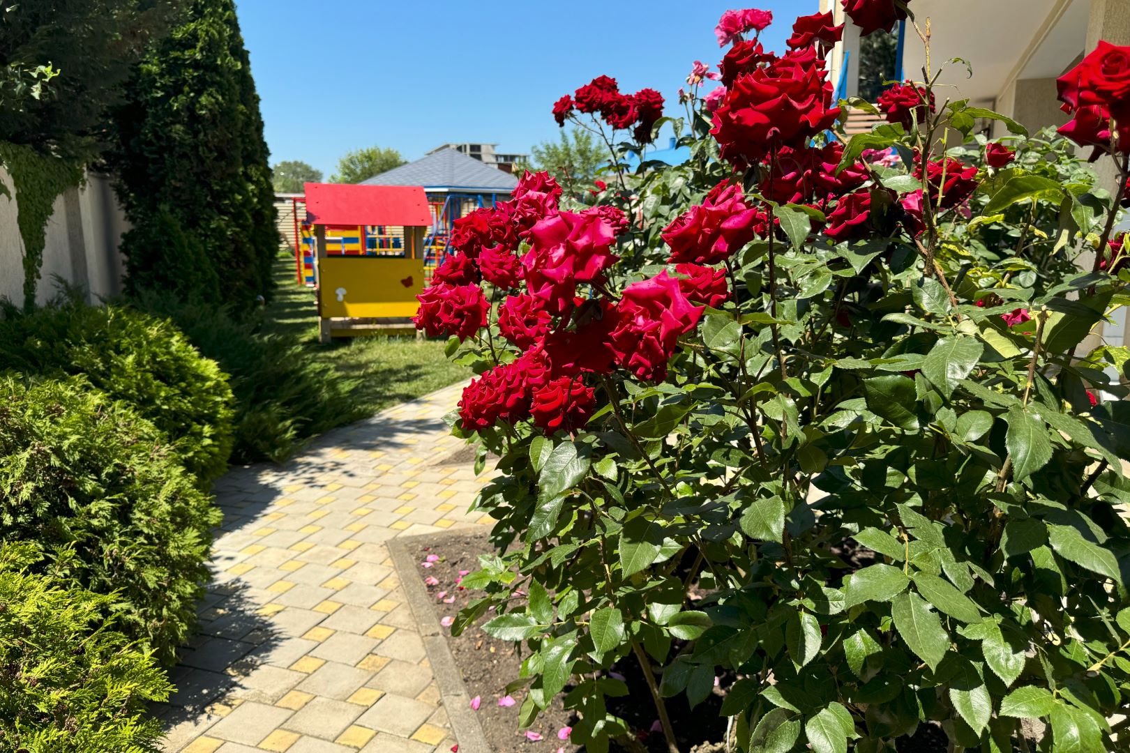 Фото Серенити