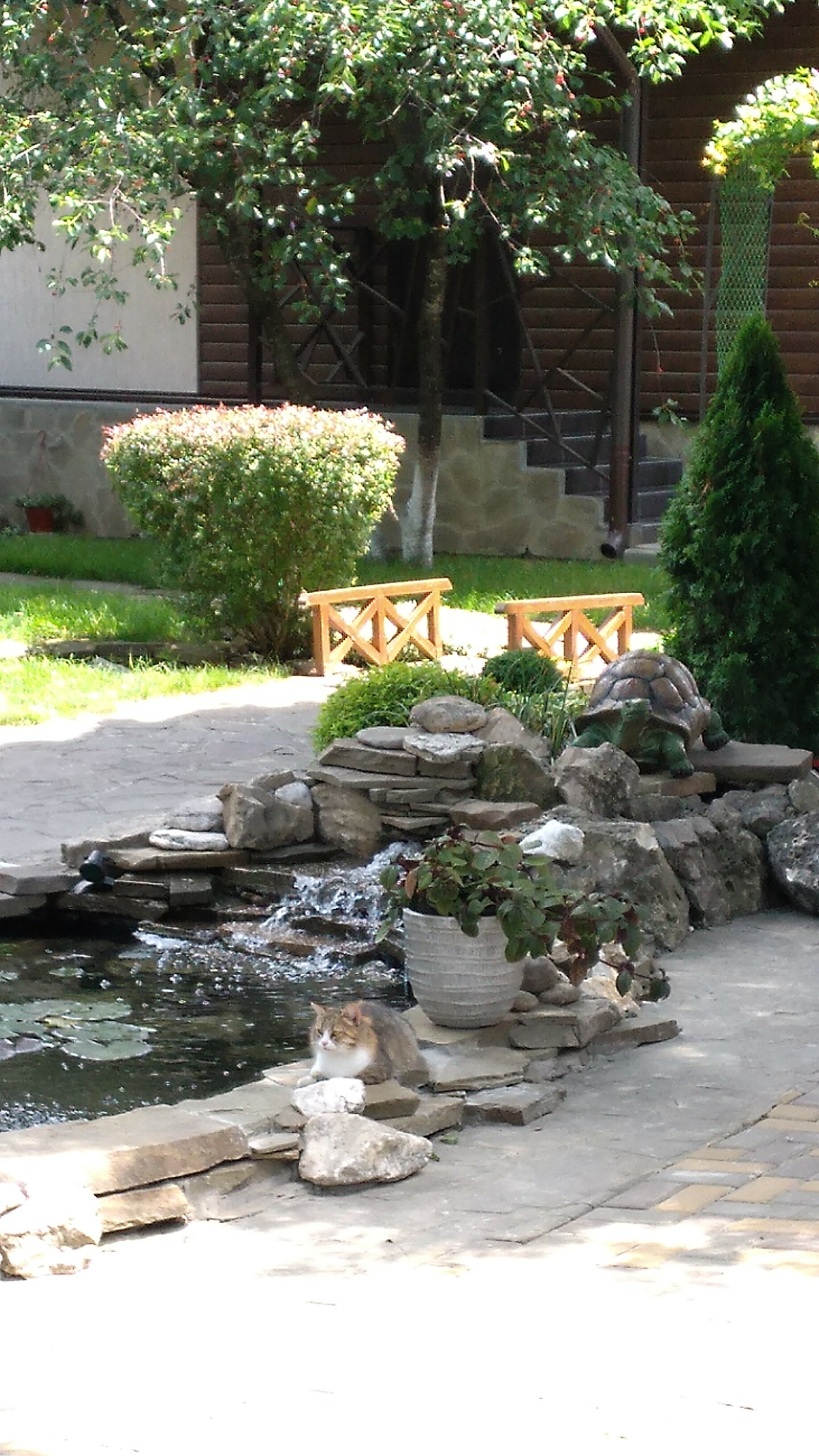 Фото Парк Хаджох