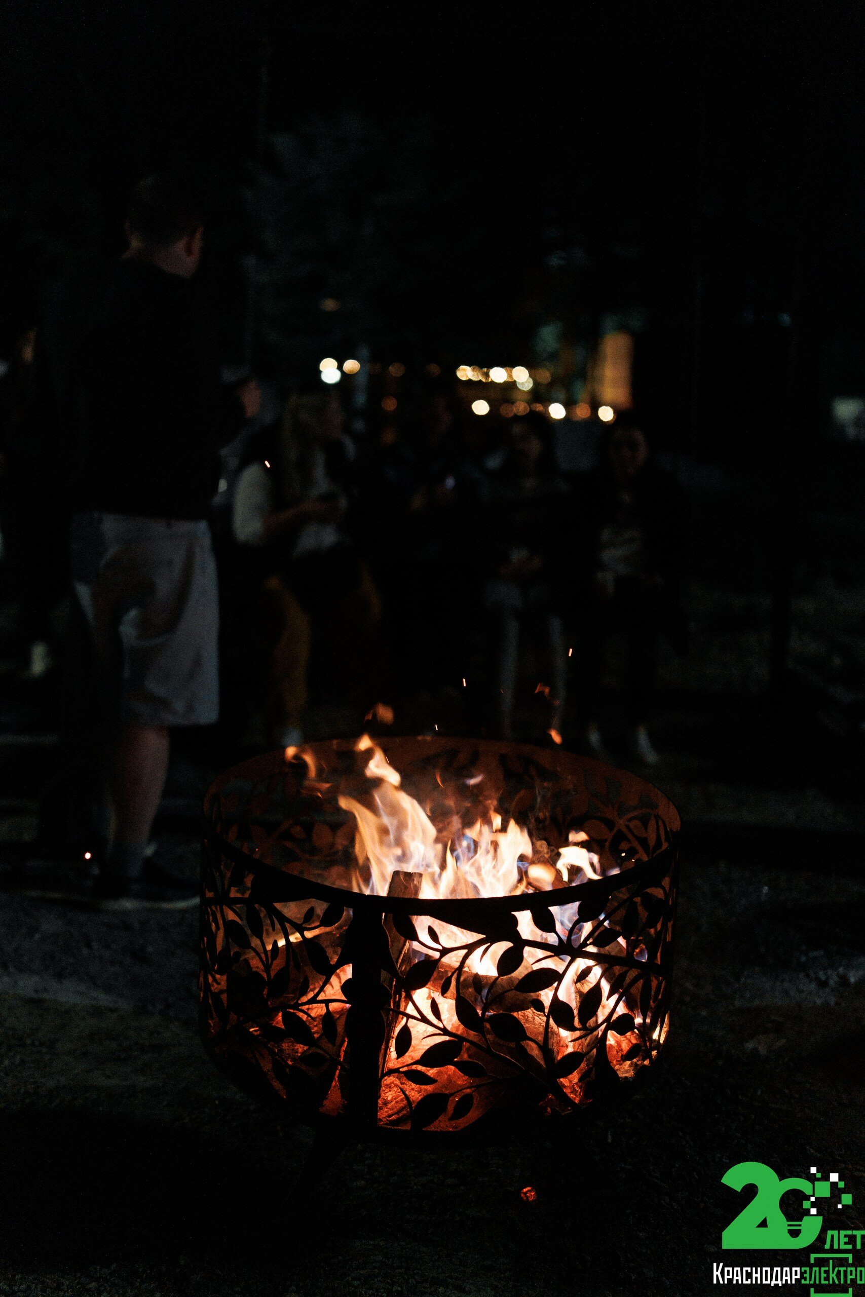 Фото Forest Yard