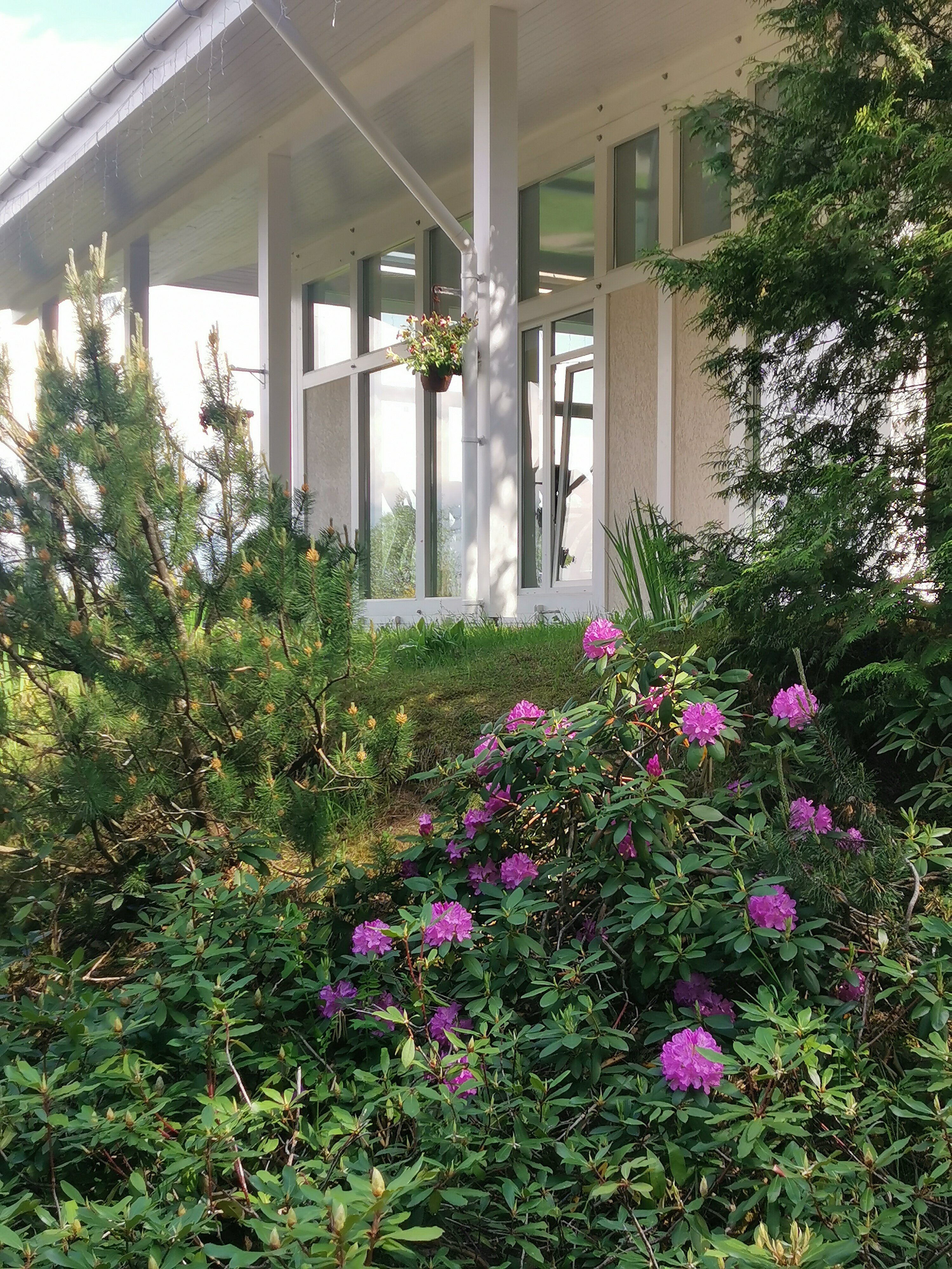 Фото Давинчи Парк