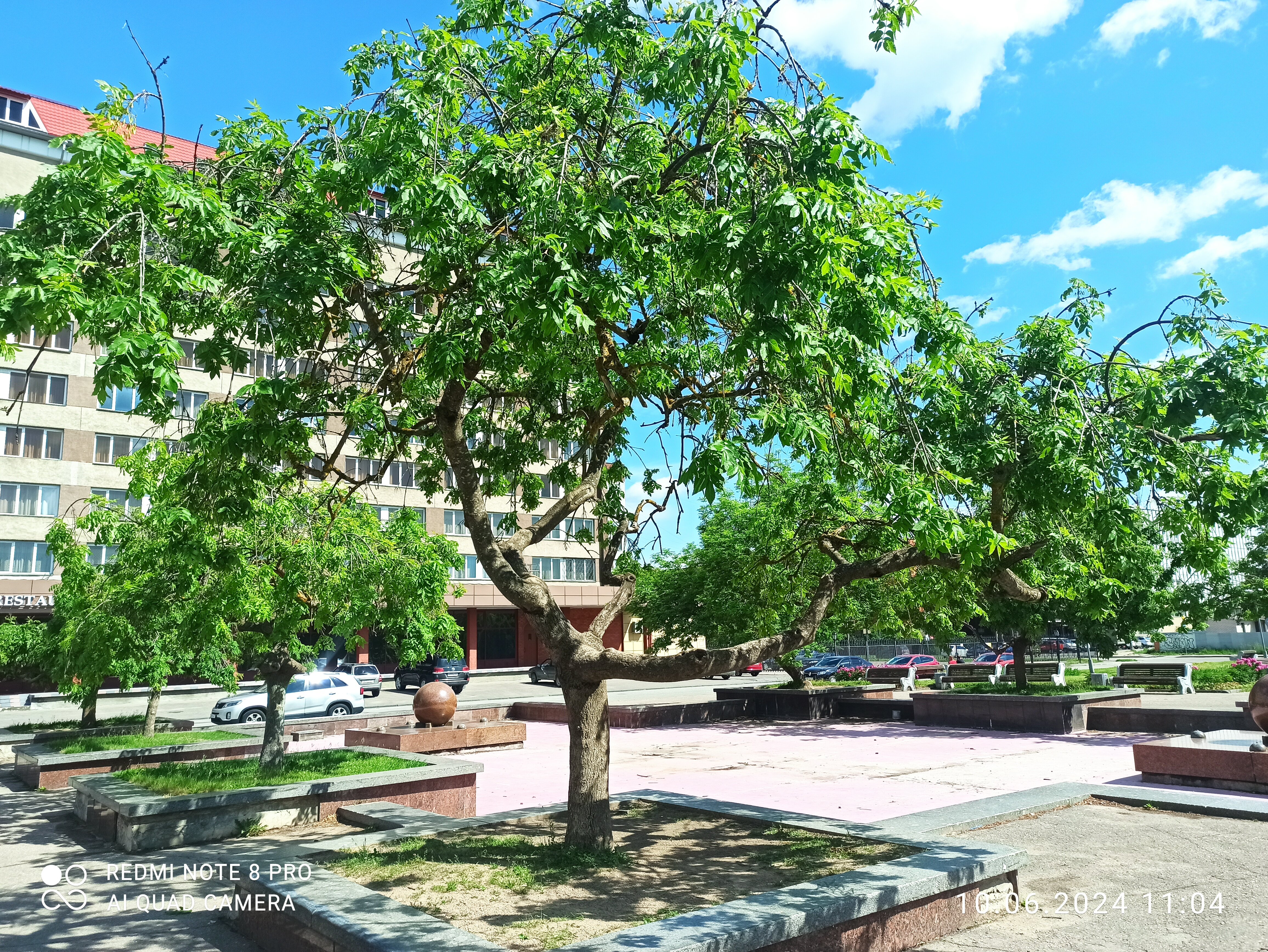 Фото Рижская