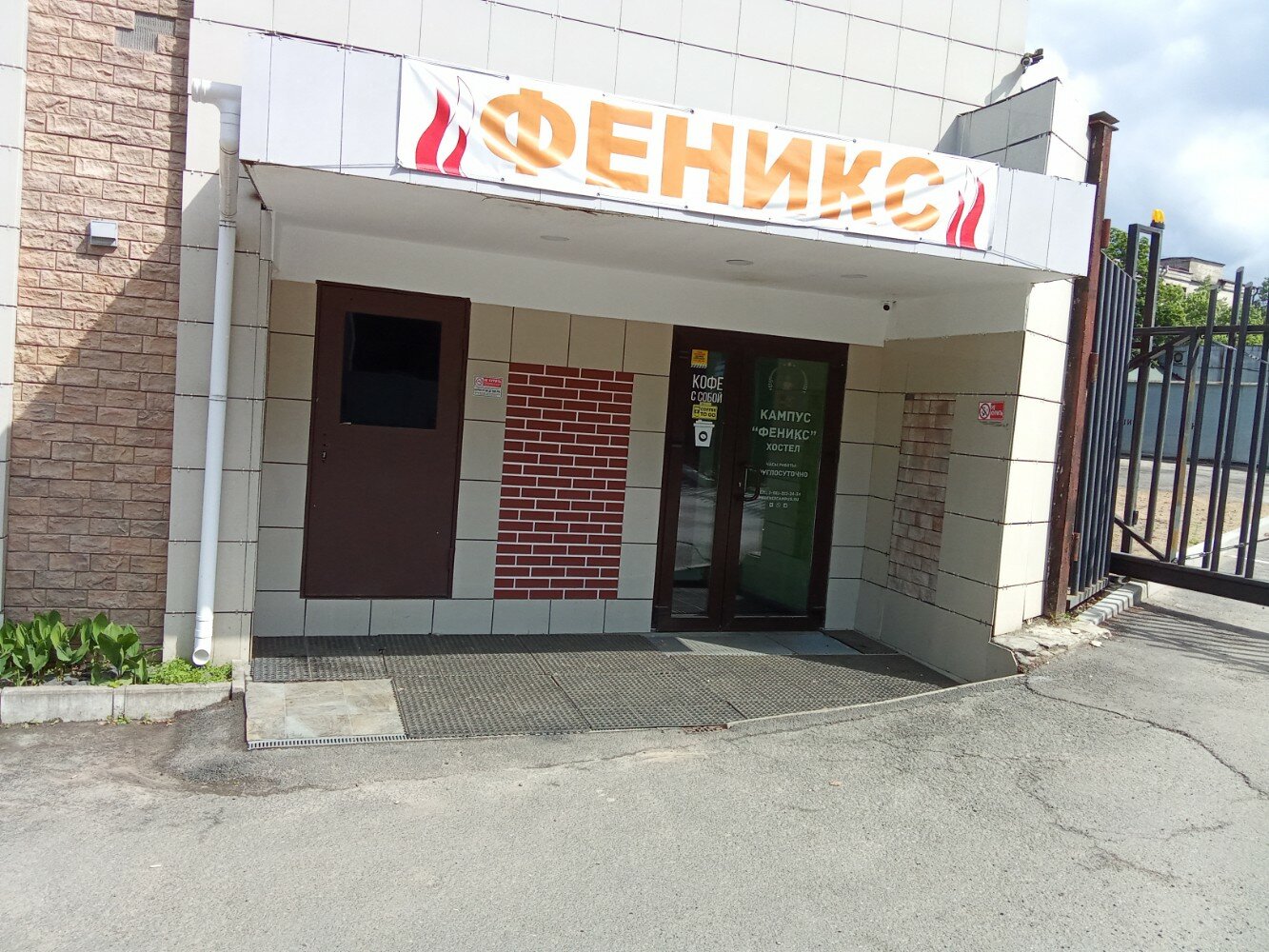 Фото Феникс