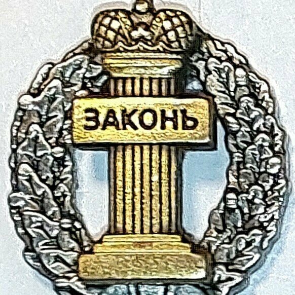 Адвокат Сергей Серёгин