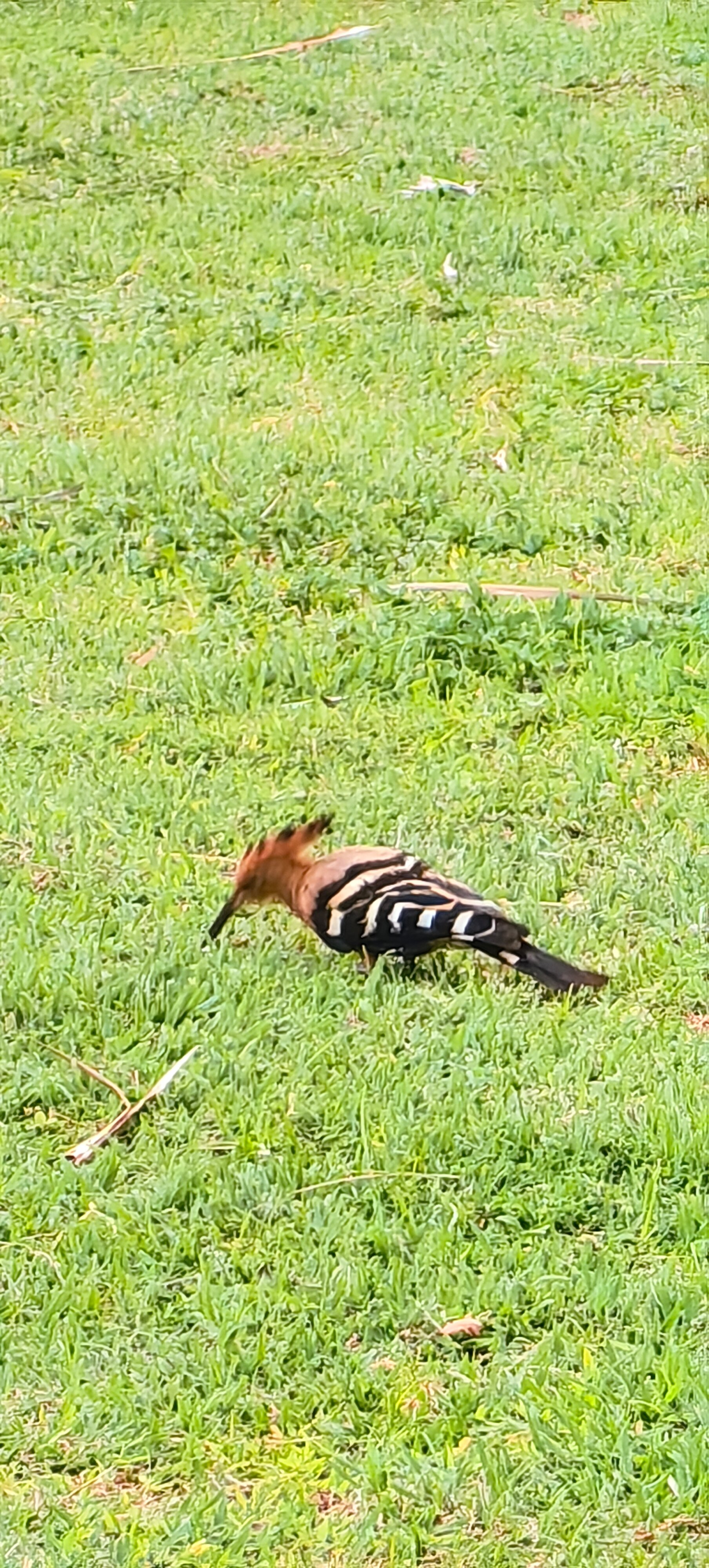 Фото MuiNe Century Beach Resort and SPA