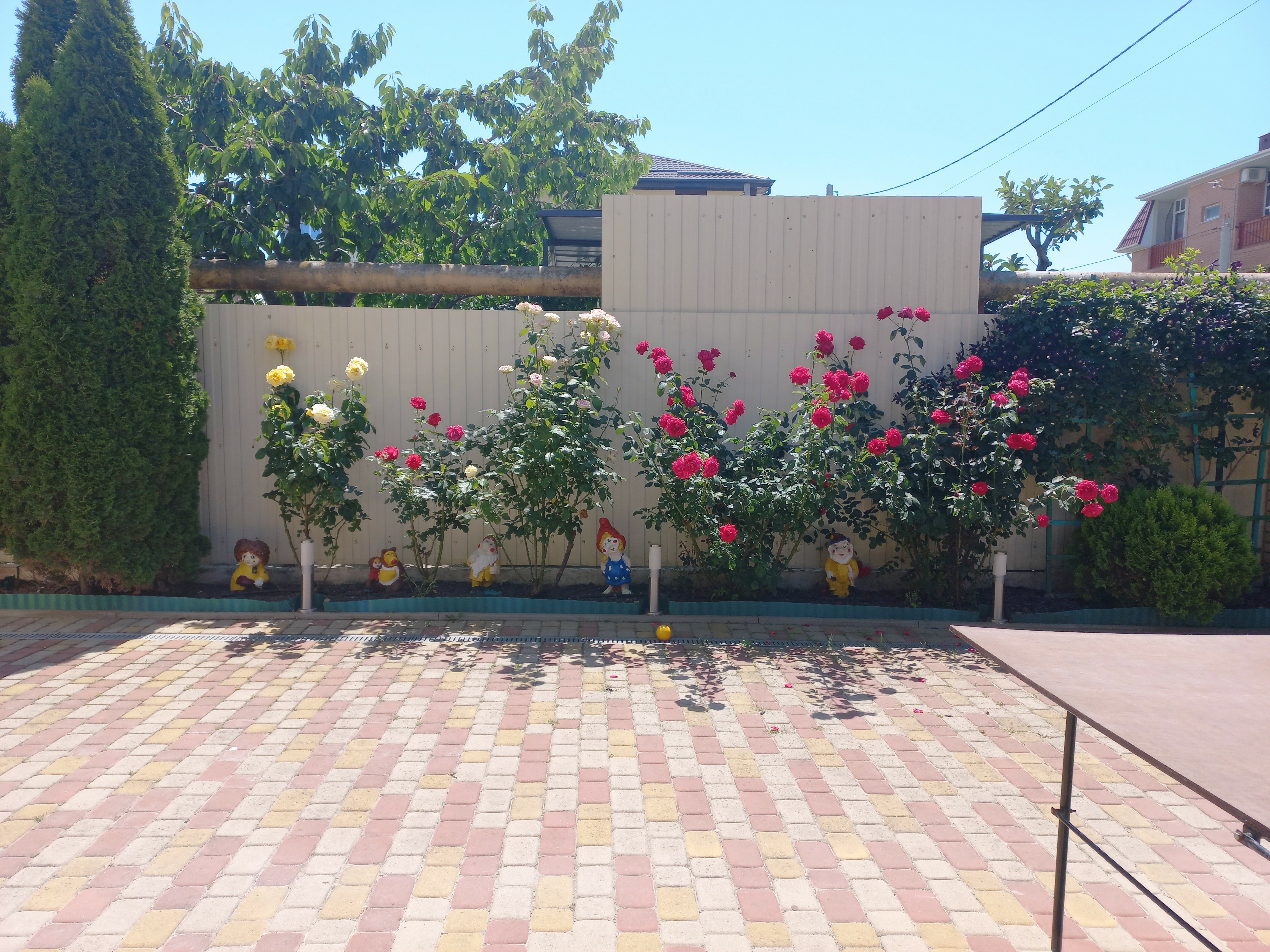 Фото Лучезарный