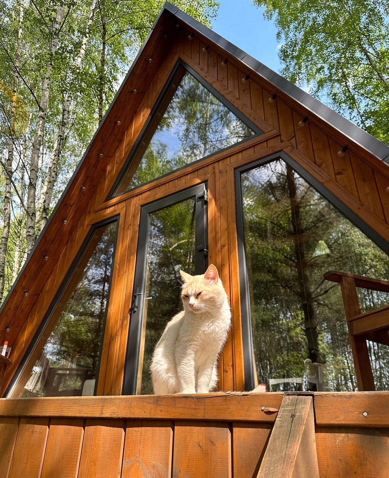 Фото А-Ферма