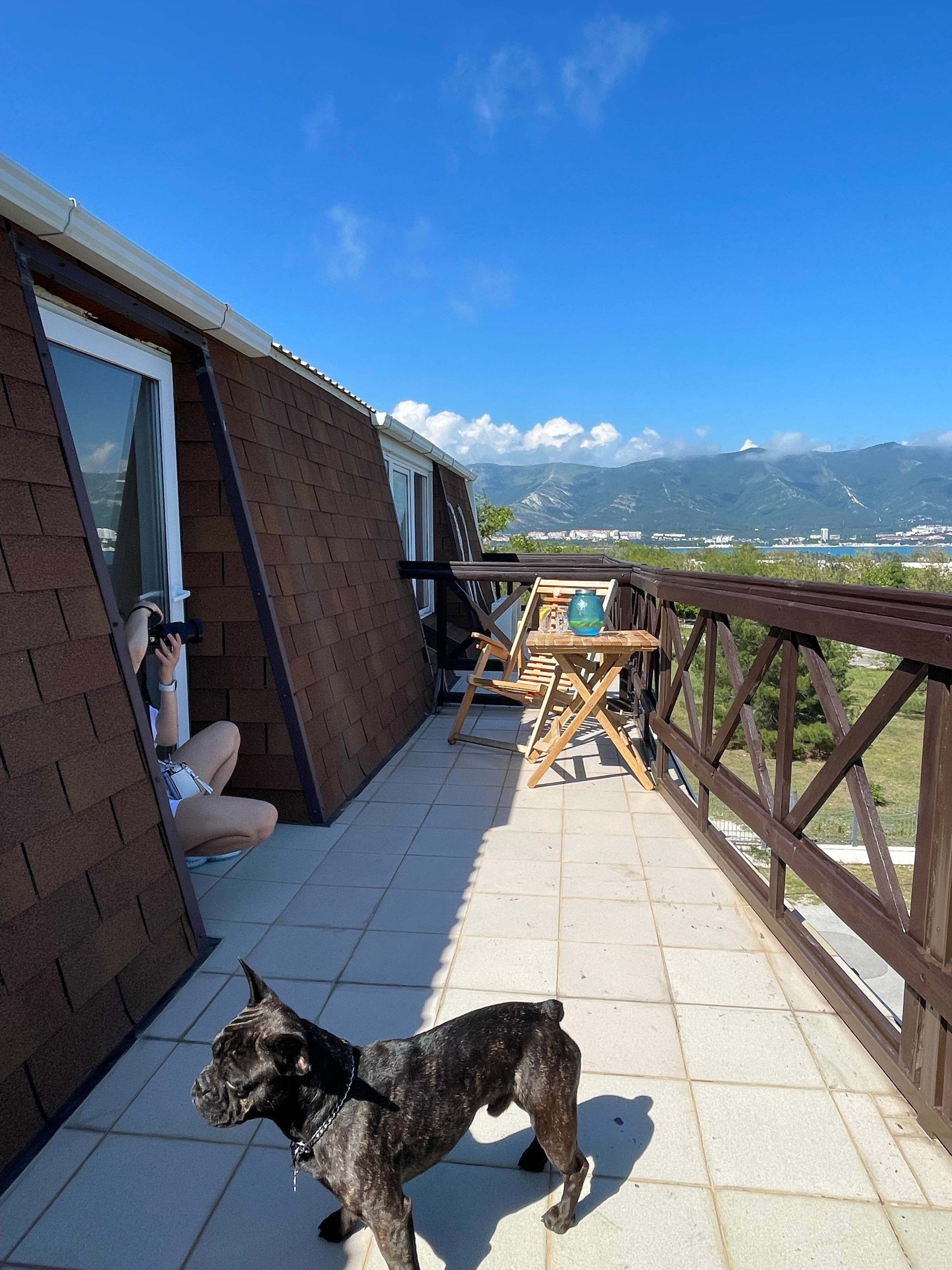 Фото Большая Черепаха