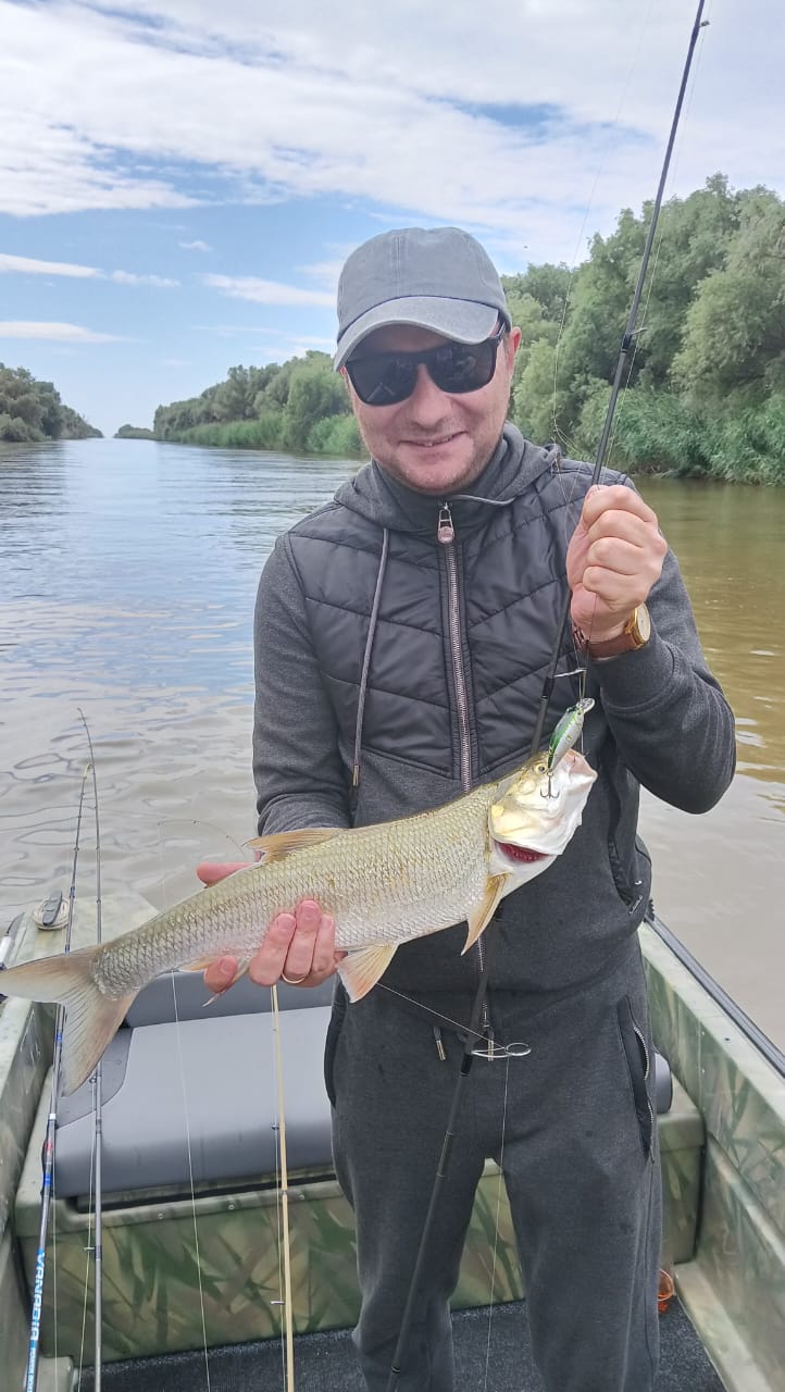 Фото Пиранья Дельта