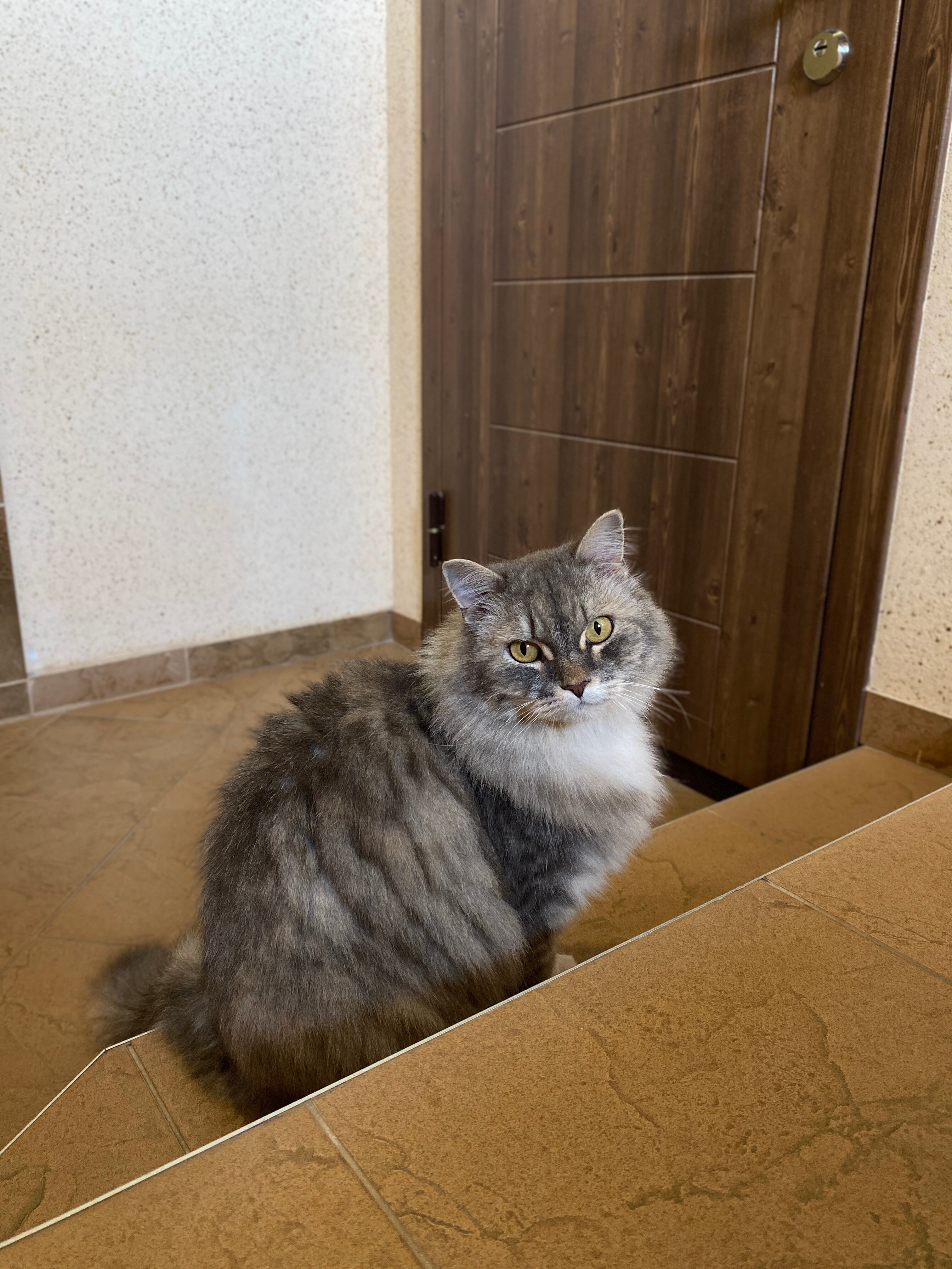 Фото Студия 23